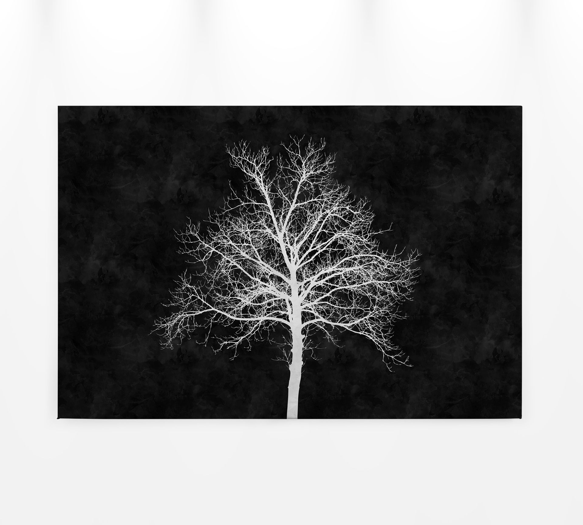 Leinwandbild Baum, weiß, 90x60 cm DD120358