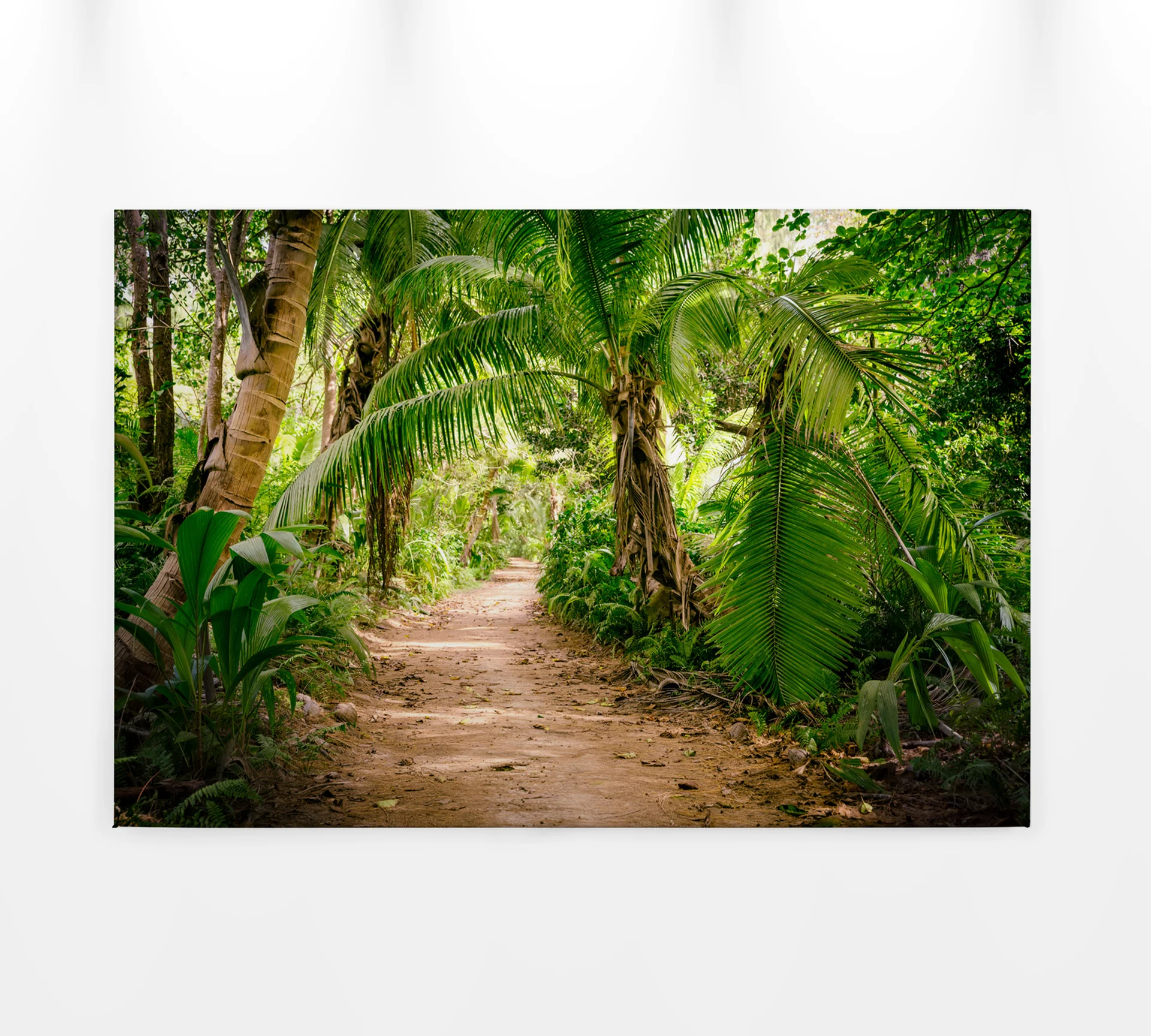 Leinwandbild Tropischer Waldweg, grün, 90x60 cm DD120308