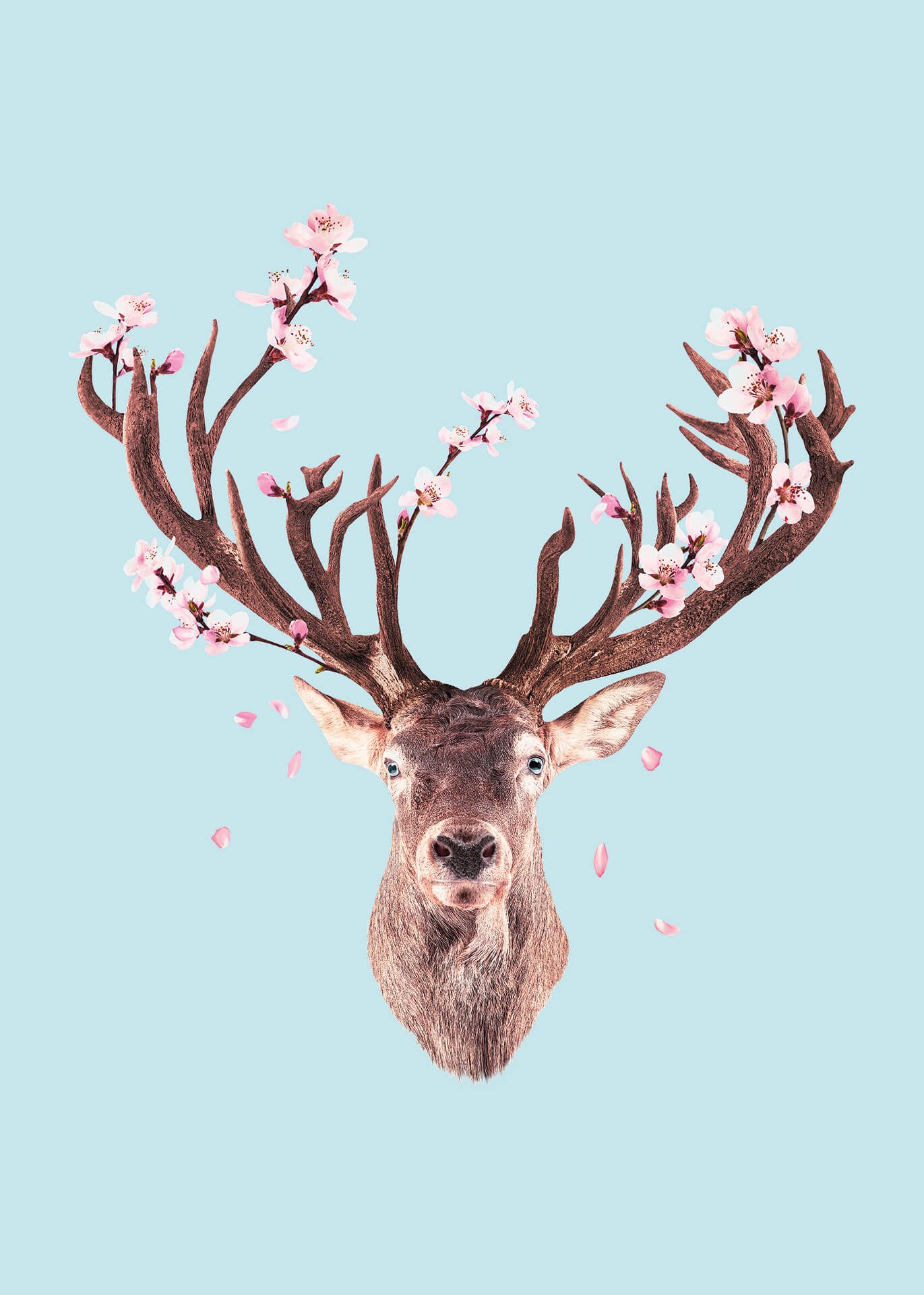 Leinwandbild Hirsch, hellblau, 50x70 cm DD123178