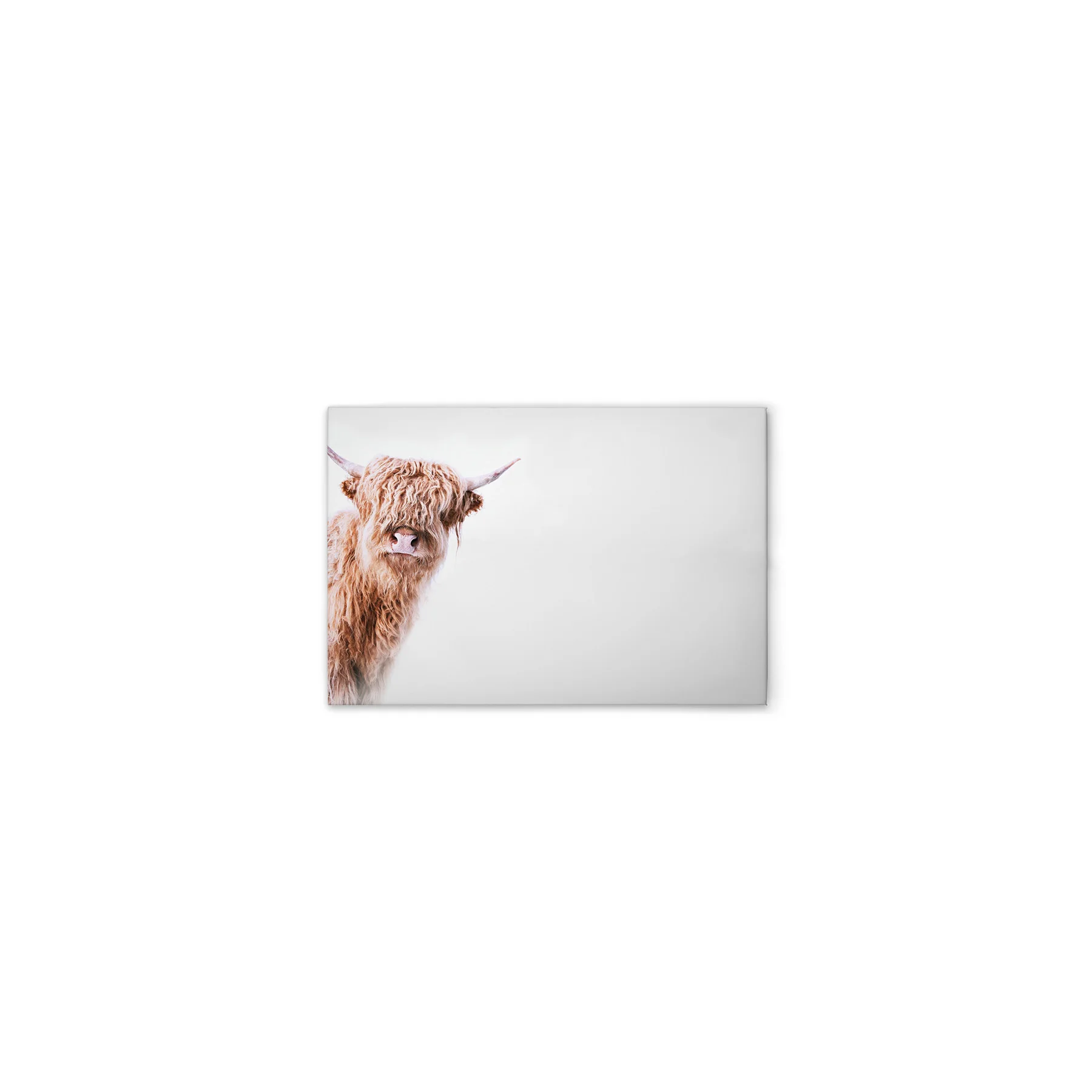 Leinwand Highland Cattle II 60 x 40 cm Leinwand Highland Cattle II 60 x 40 cm