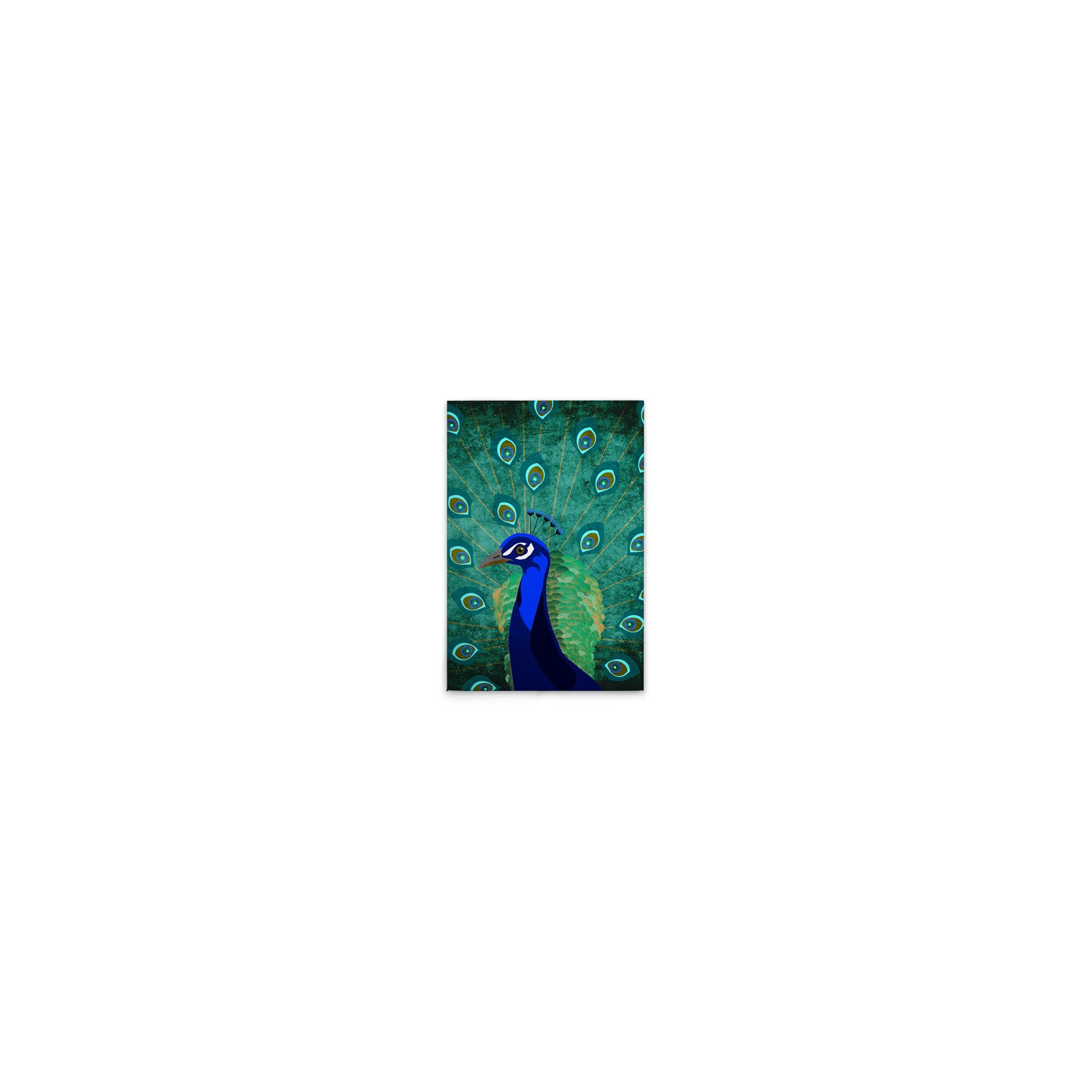Leinwand Peacock 30 x 45 cm Leinwand Peacock 30 x 45 cm