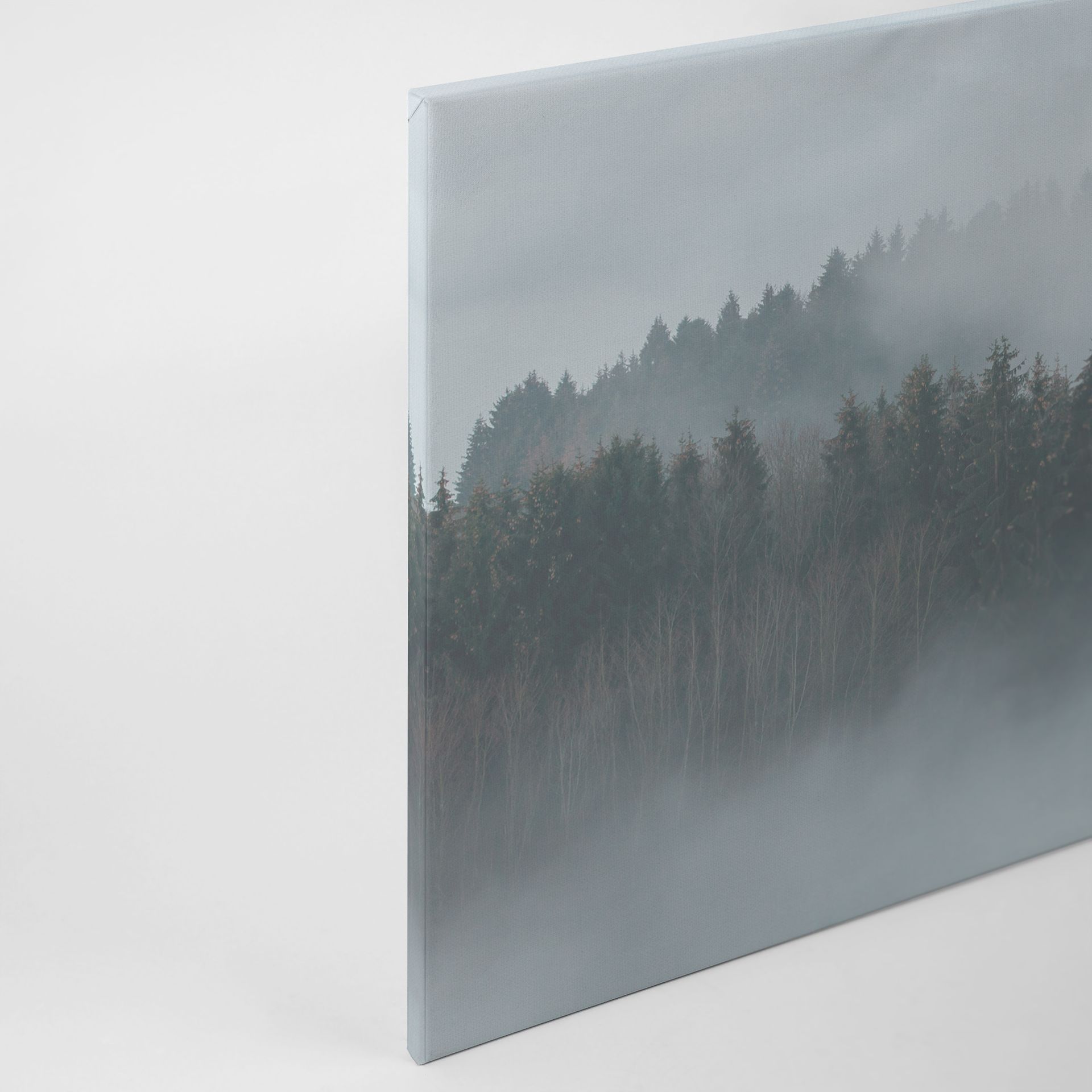 Livingwalls Leinwand, Nebelverhangener Wald, Bäume, 90x60 cm DD120292
