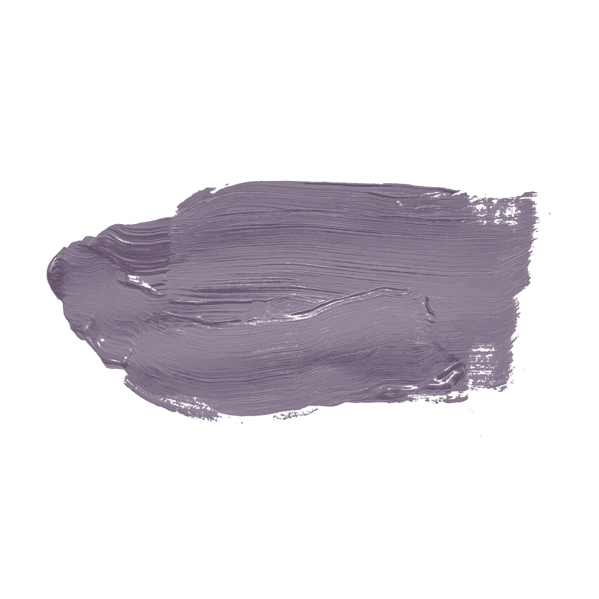Wandfarbe The Color Kitchen TCK2006 Artful Aubergine
