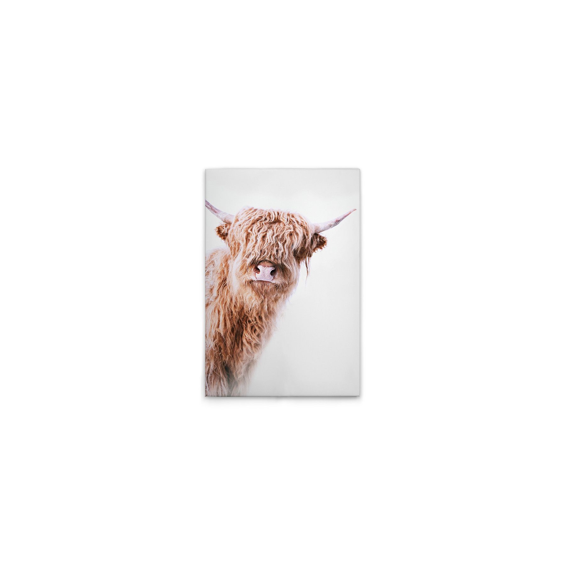 Leinwand Highland Cattle II 40 x 60 cm Leinwand Highland Cattle II 40 x 60 cm