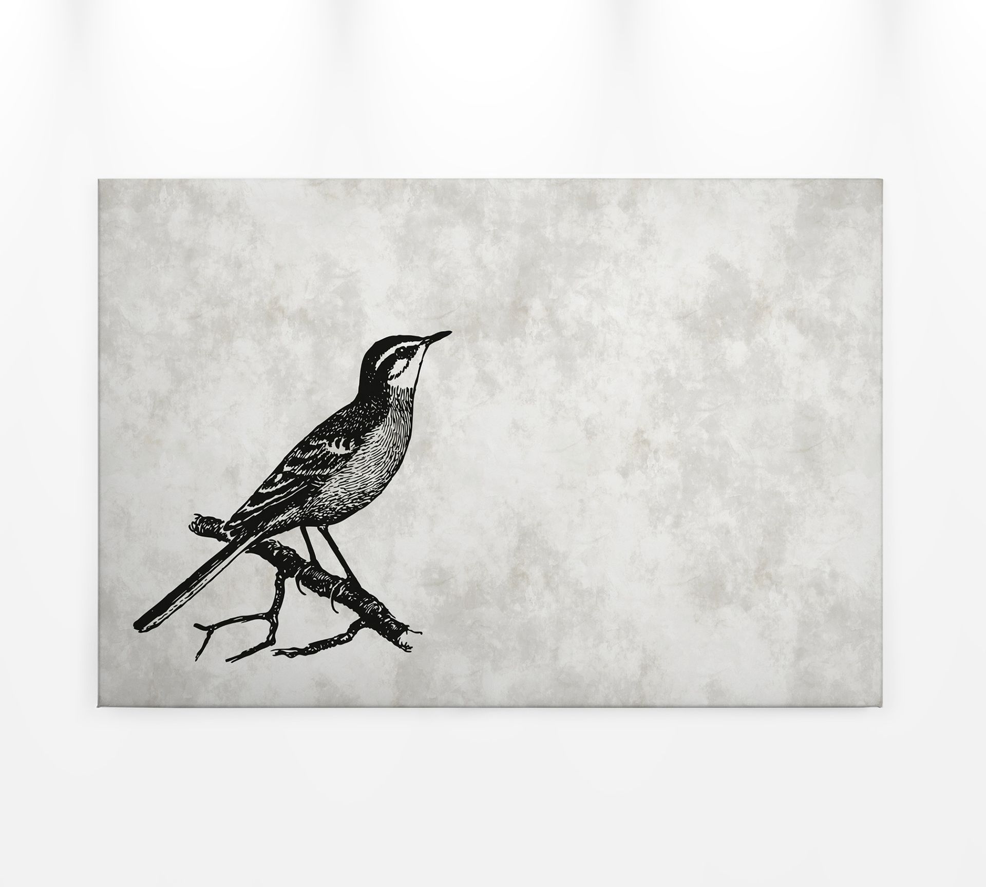 Leinwandbild Vogel, grau, 90x60 cm DD120366