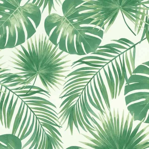 Rasch Textil Jungle Fever WWW. 139013 Grün Uni Dekorbild