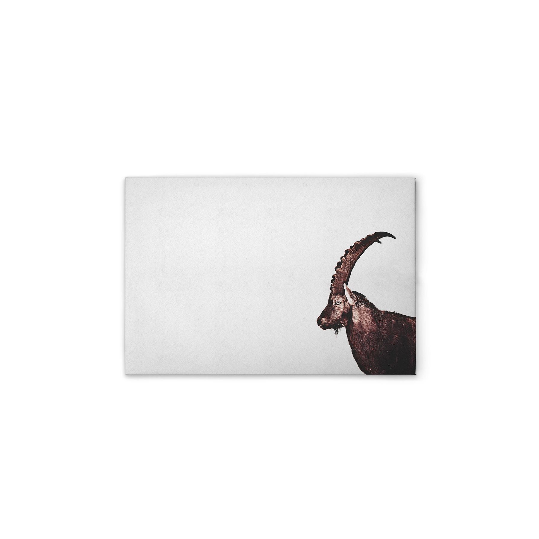 Leinwand Capricorn Snow 75 x 50 cm Leinwand Capricorn Snow 75 x 50 cm