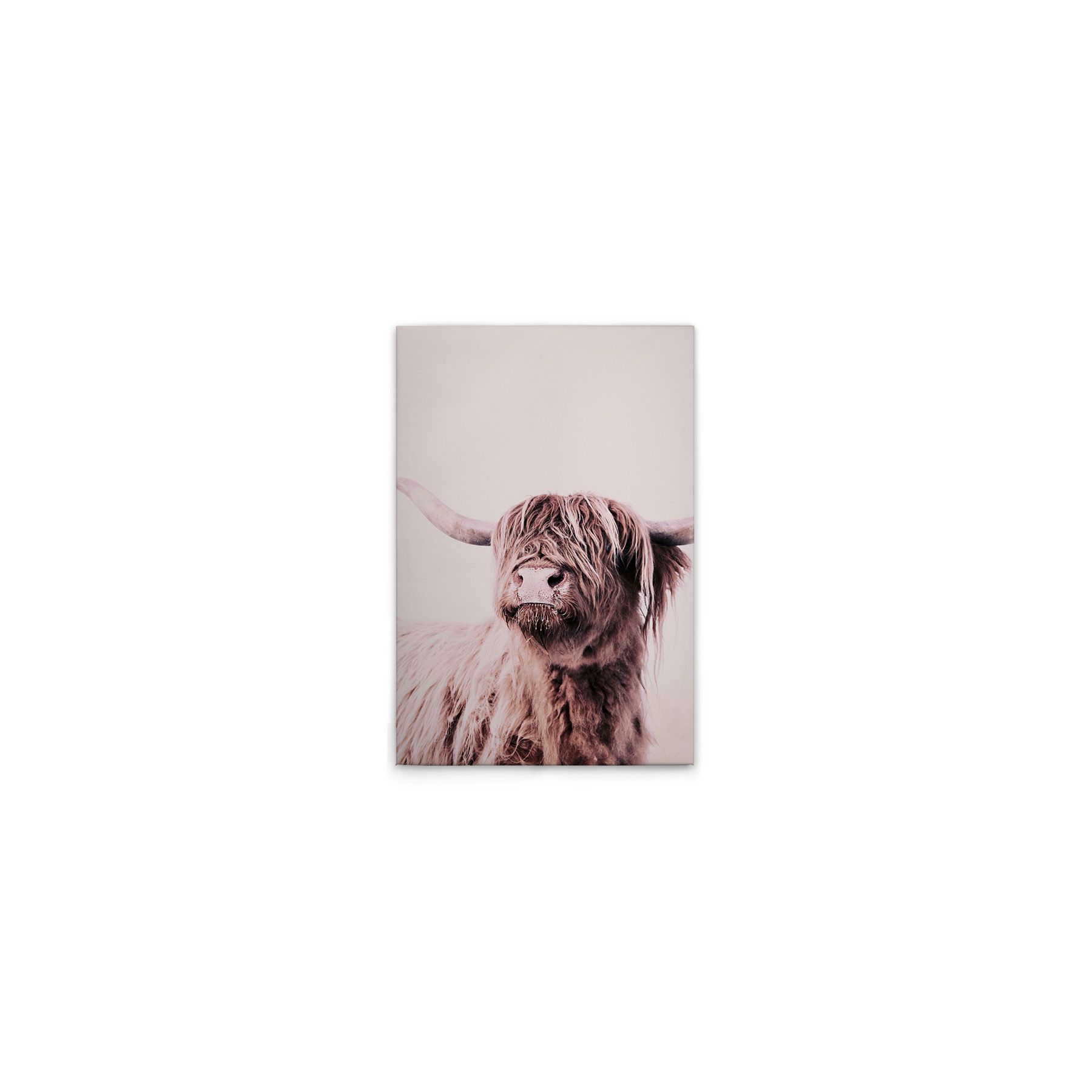 Leinwand Highland Cattle I 40 x 60 cm Leinwand Highland Cattle I 40 x 60 cm
