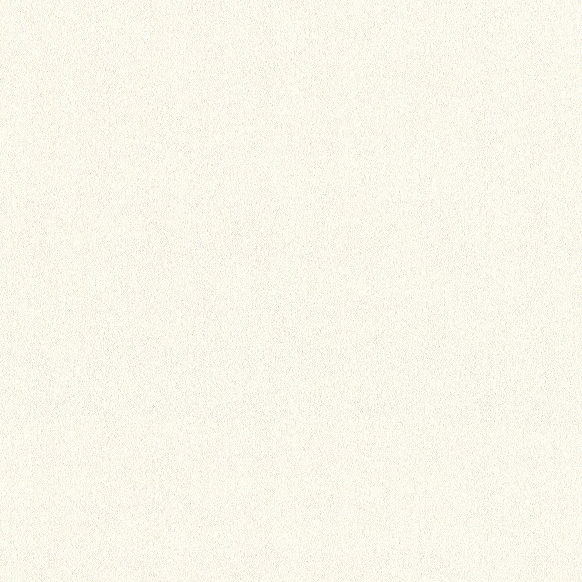 A.S. Création Meistervlies 2020, Unis, weiß 350642 Dekorbild