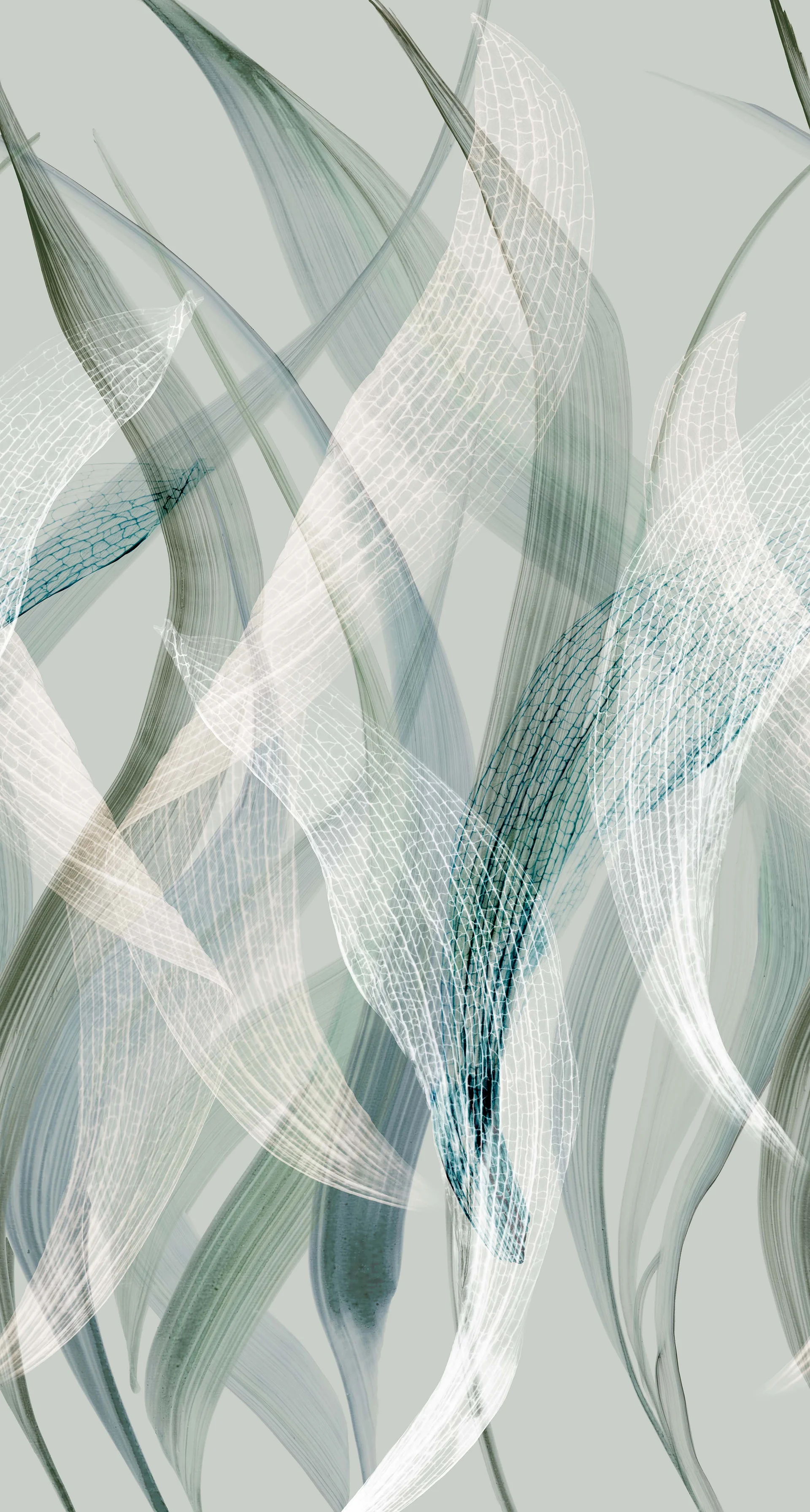 Botanische Tapete Blattmotiv türkis Erismann 227120