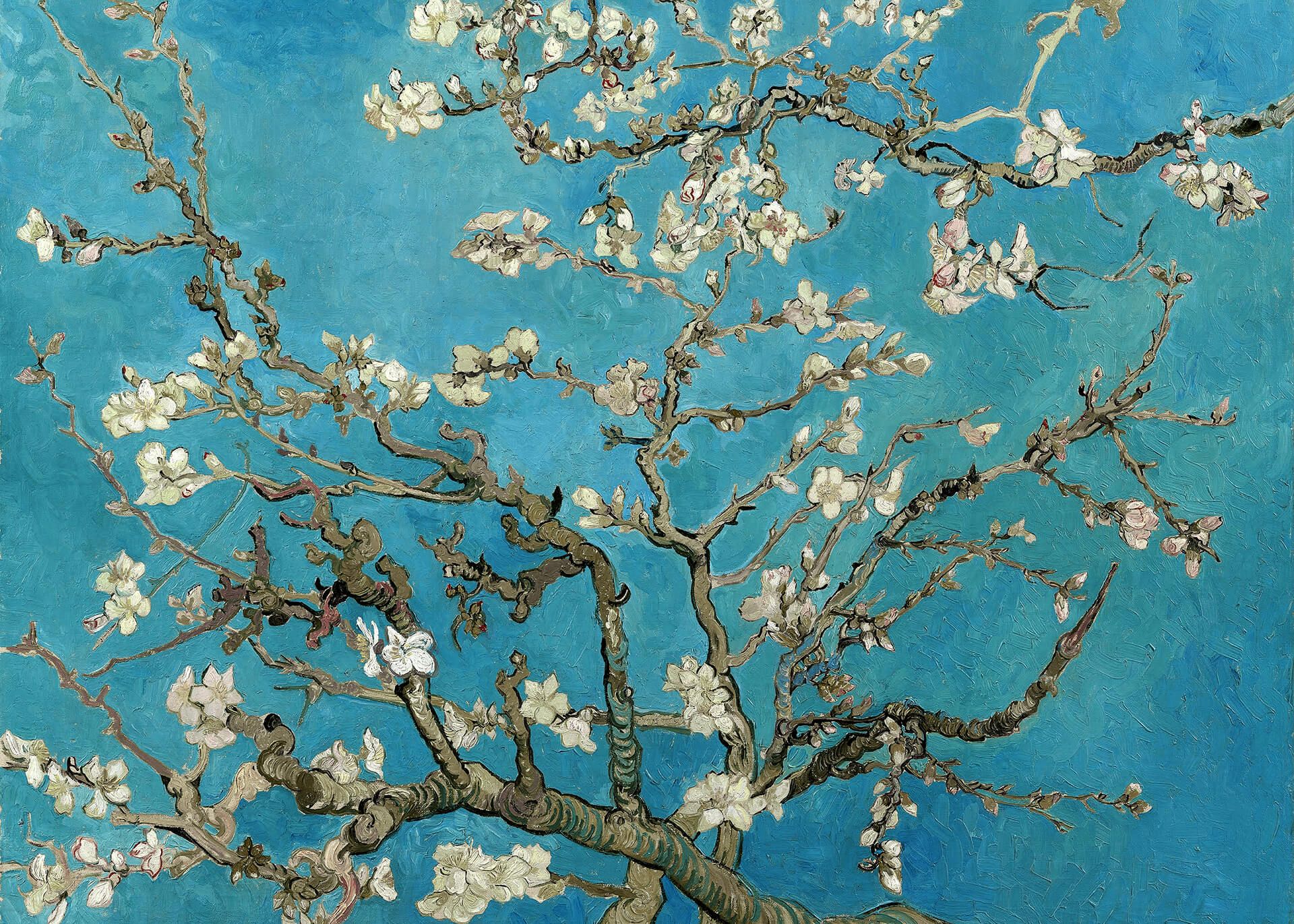 Leinwandbild Blütenzweige, blau, 70x50 cm DD123064