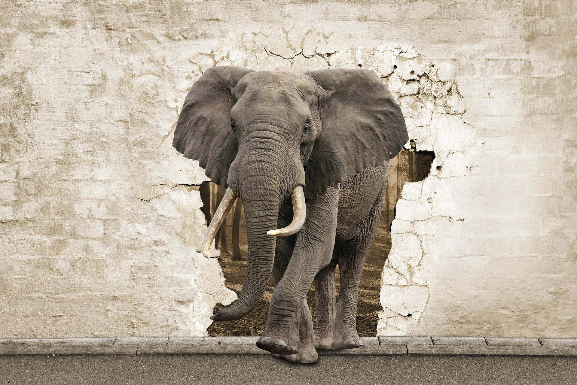 A.S. Création XXL 5 Fototapete, Elefant D114954 