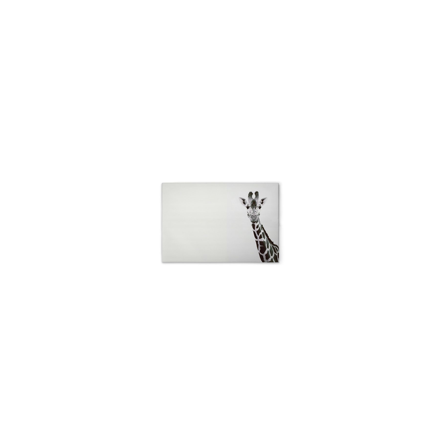 Leinwand Giraffe Portrait 45 x 30 cm Leinwand Giraffe Portrait 45 x 30 cm
