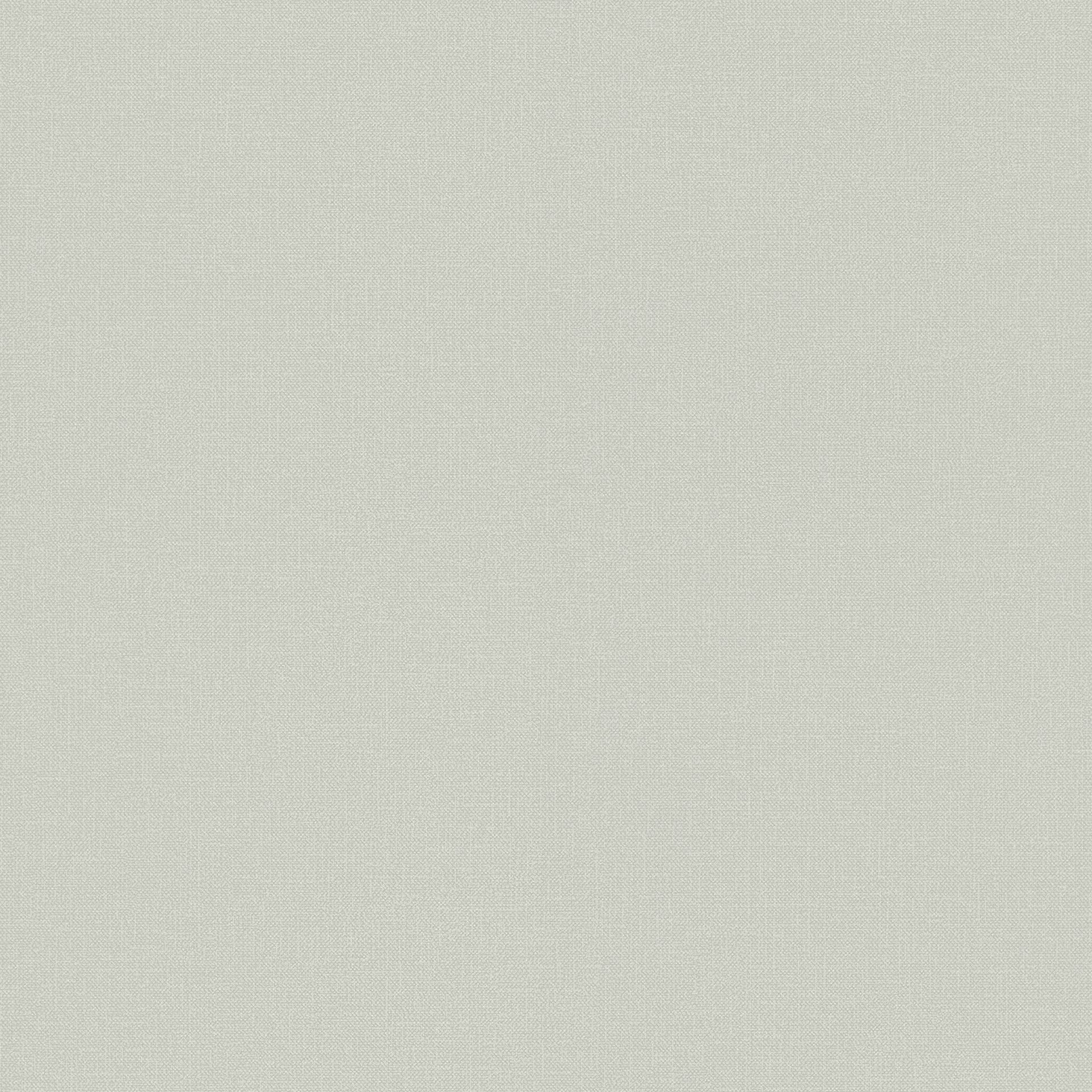 Rasch Textil Blush WWW 148741 Grau Uni Dekorbild