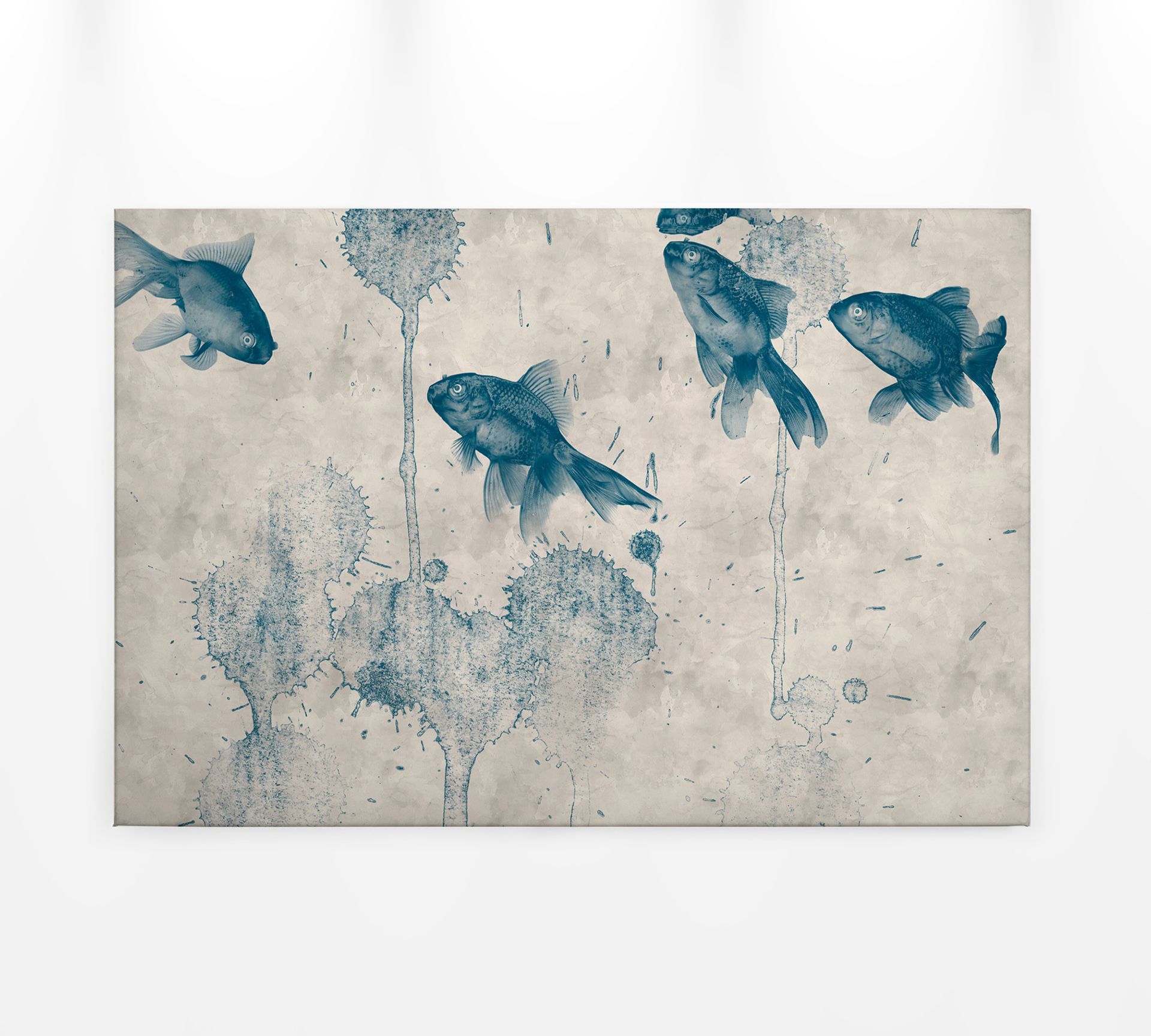 Leinwandbild Fische, blau, 90x60 cm DD120404