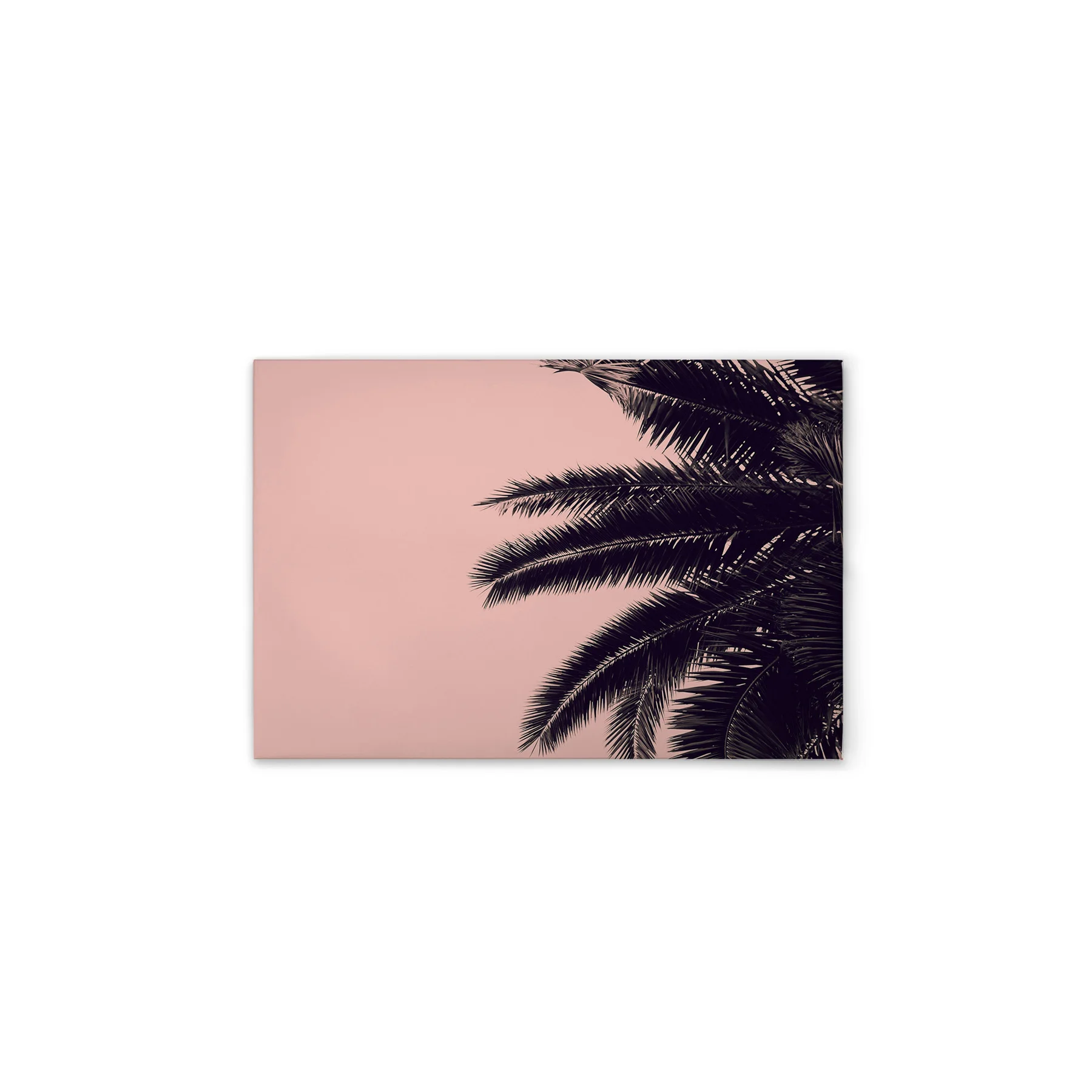 Leinwand Palm Tree 70 x 50 cm