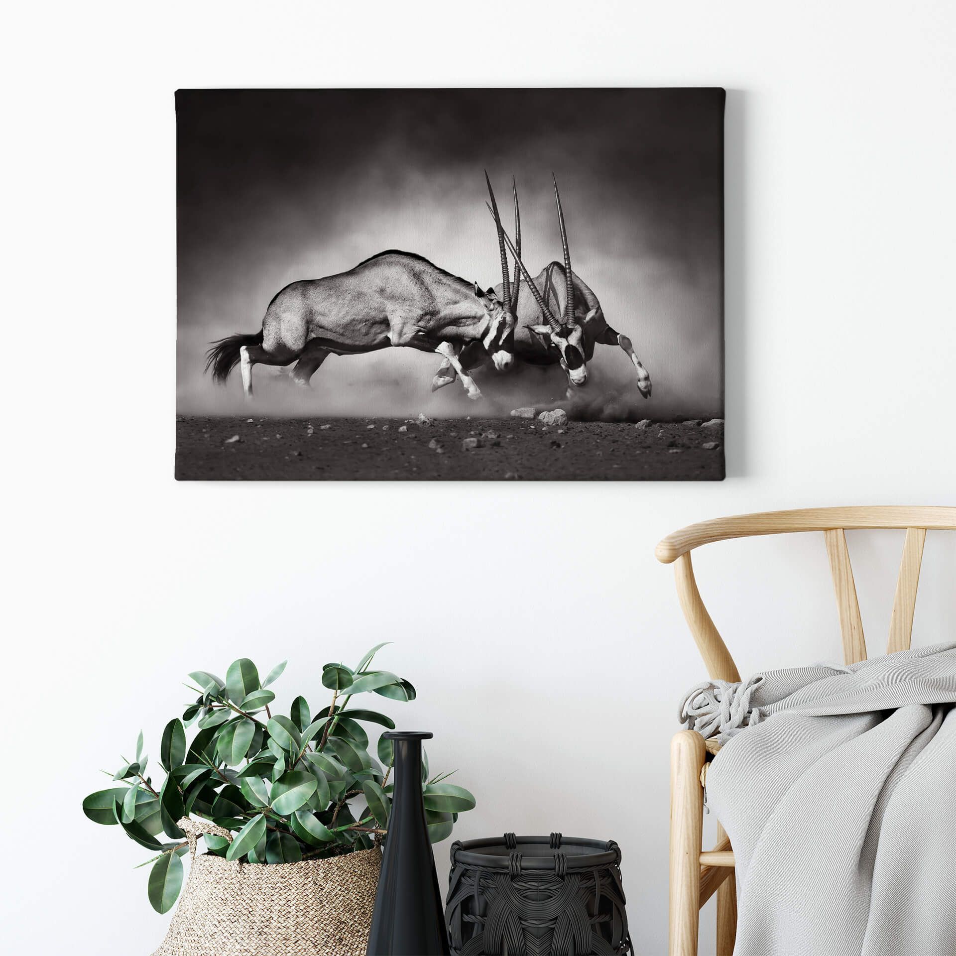 Leinwandbild Oryxantilopen, schwarz, 70x50 cm DD123045