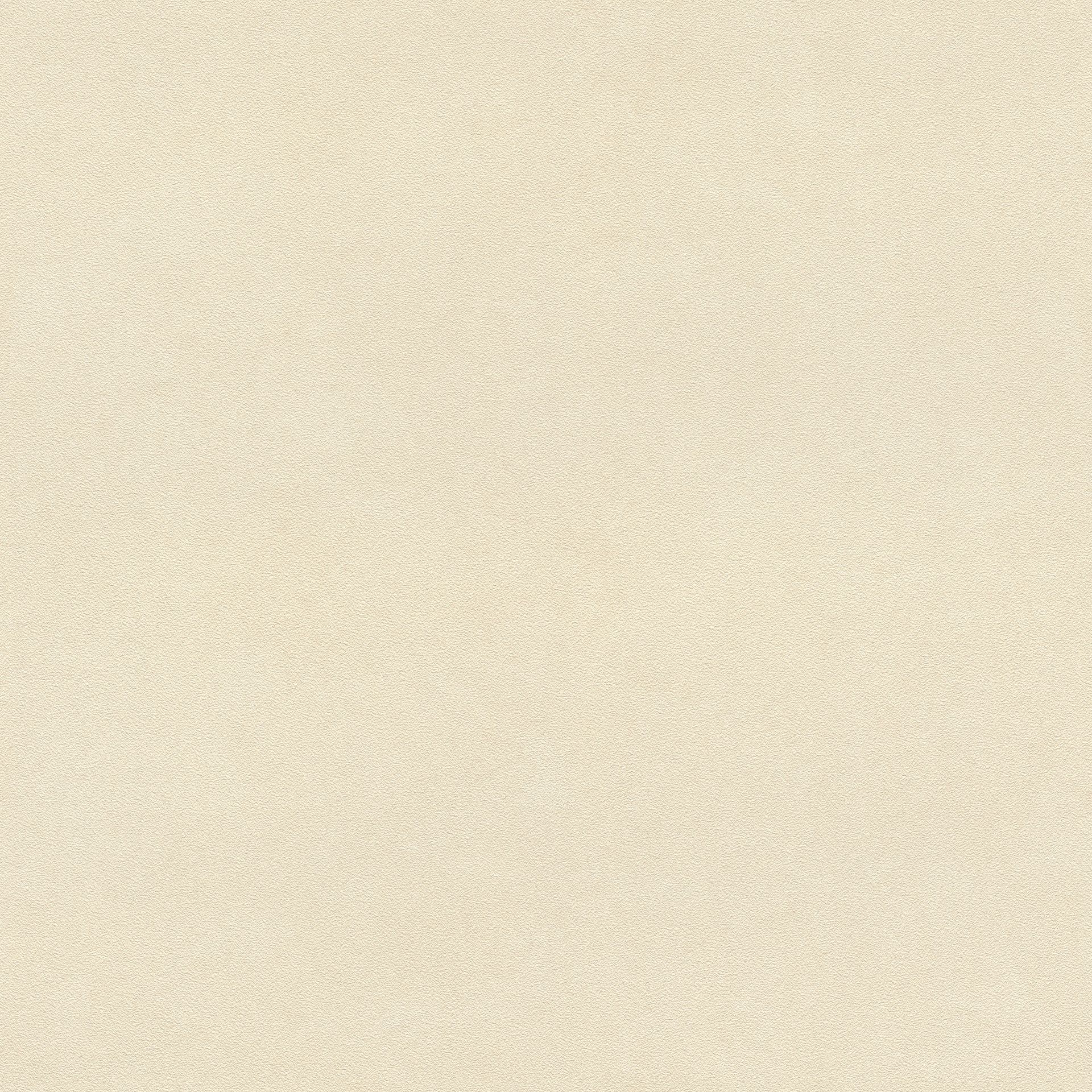 Vliestapete Unis beige 479485