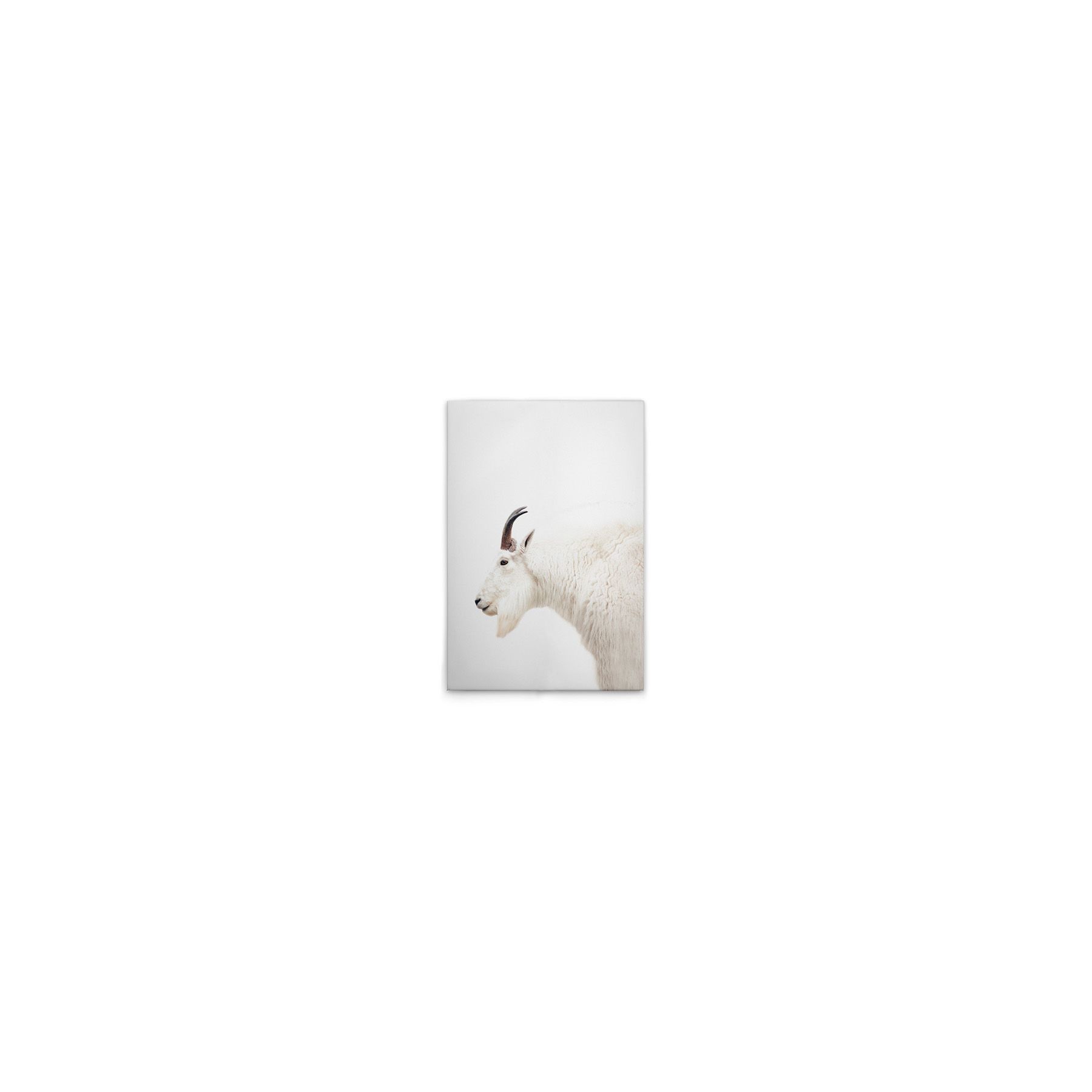 Leinwand Mountain Goat 30 x 45 cm
