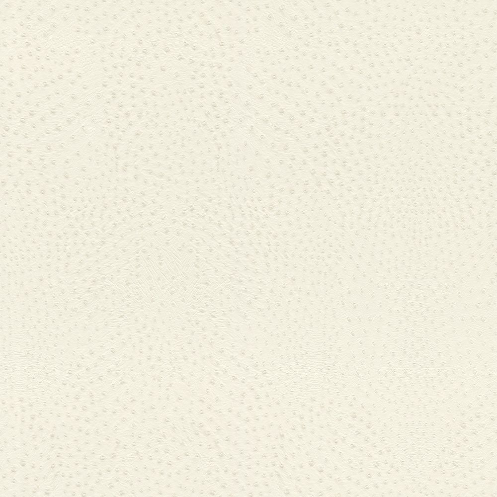 Vinyltapete Rasch Muster & Motive Weiß-Cremeweiß 751536