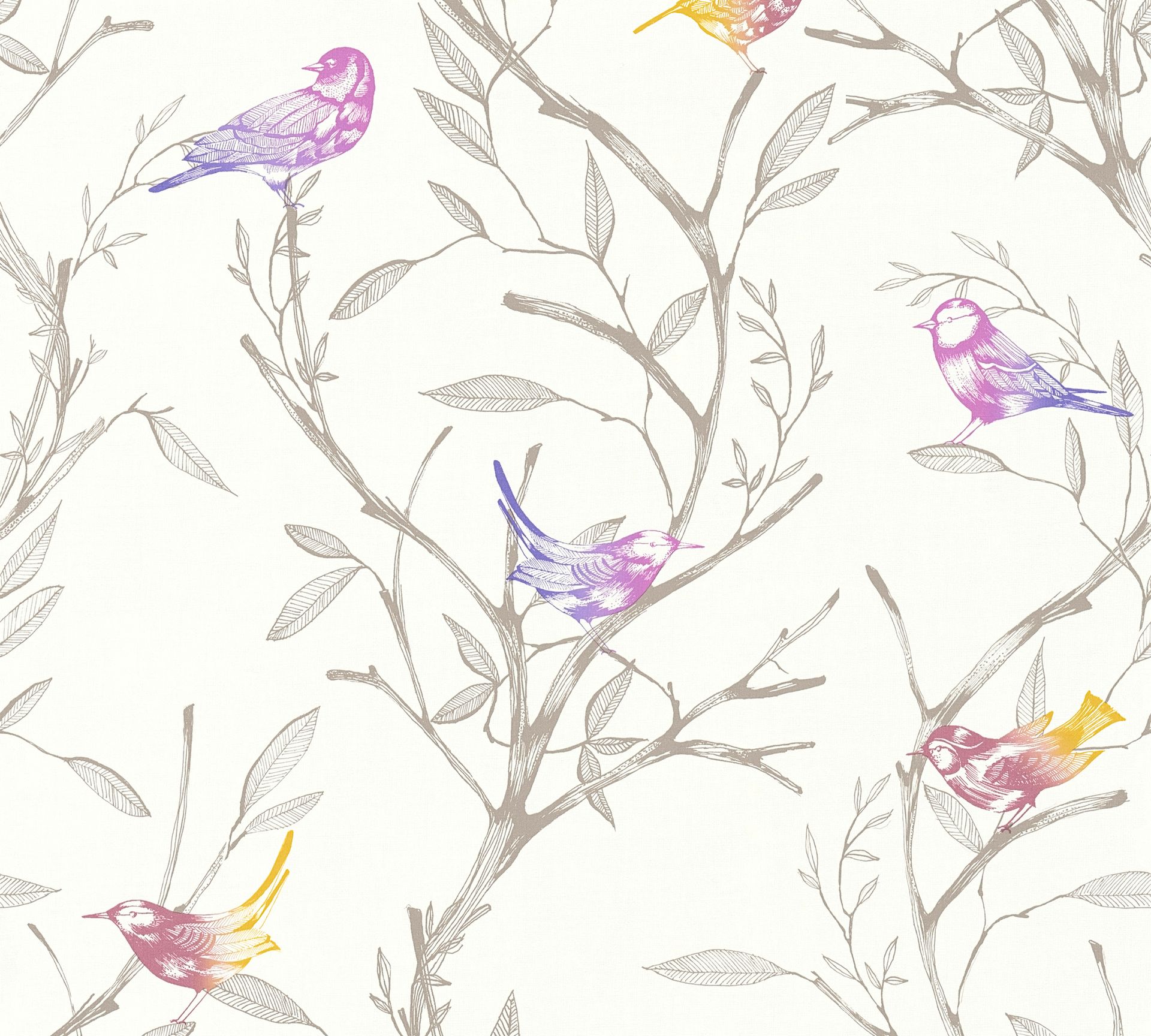 Produktscan Livingwalls Colibri 366232 Weiß Floral Dekorbild