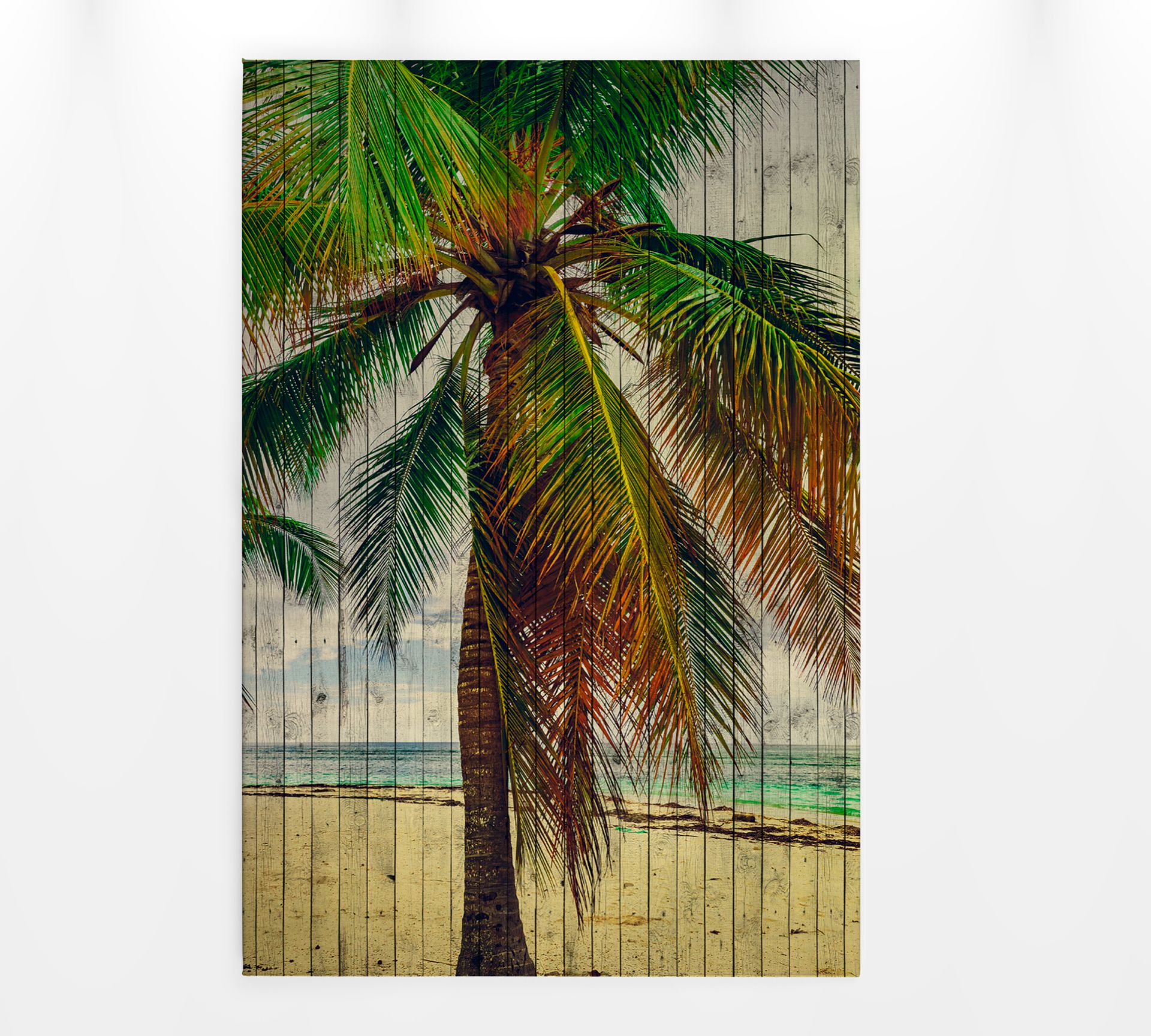 Leinwandbild Palme, braun, 60x90 cm DD120457