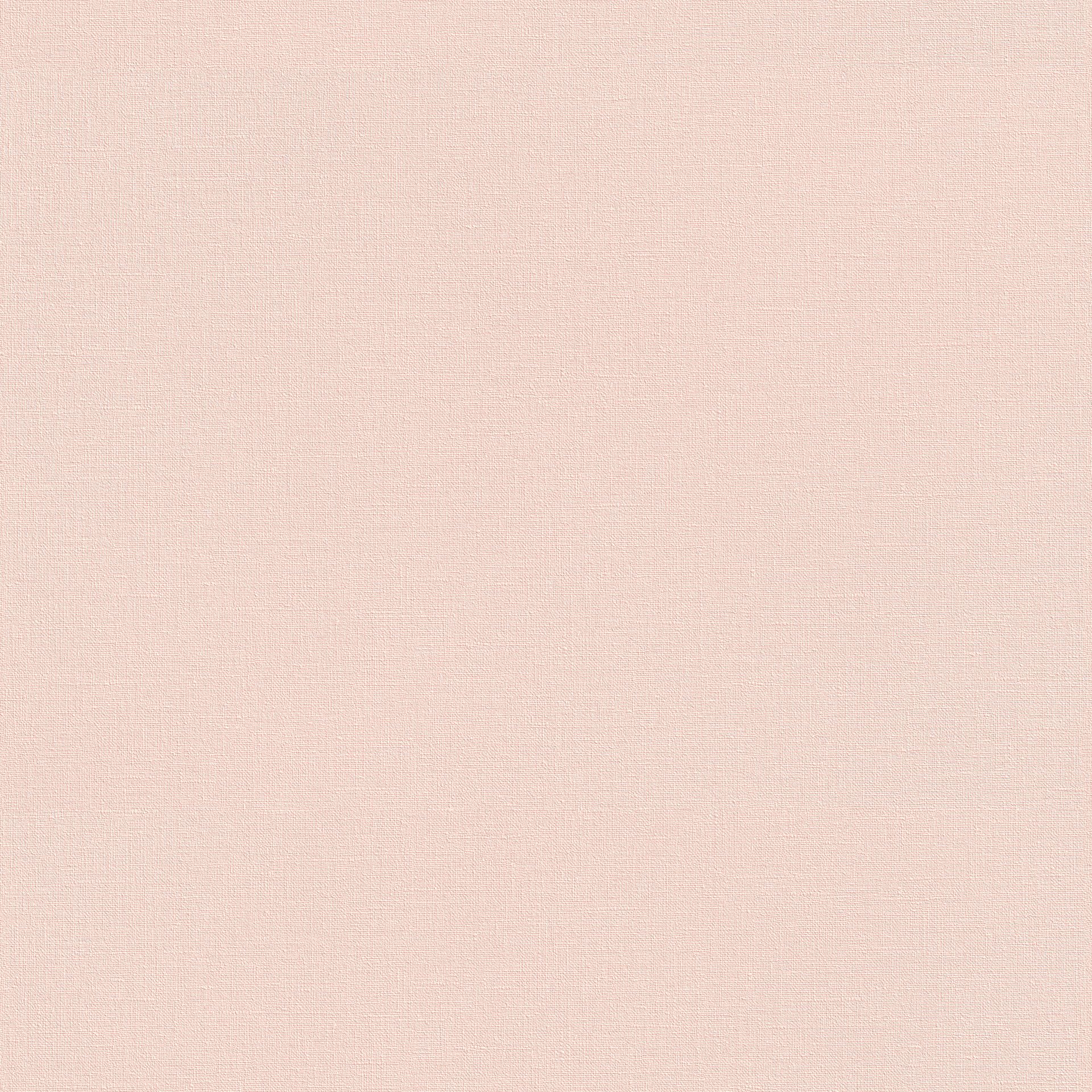 Rasch Selection, Unis, rosa 447545