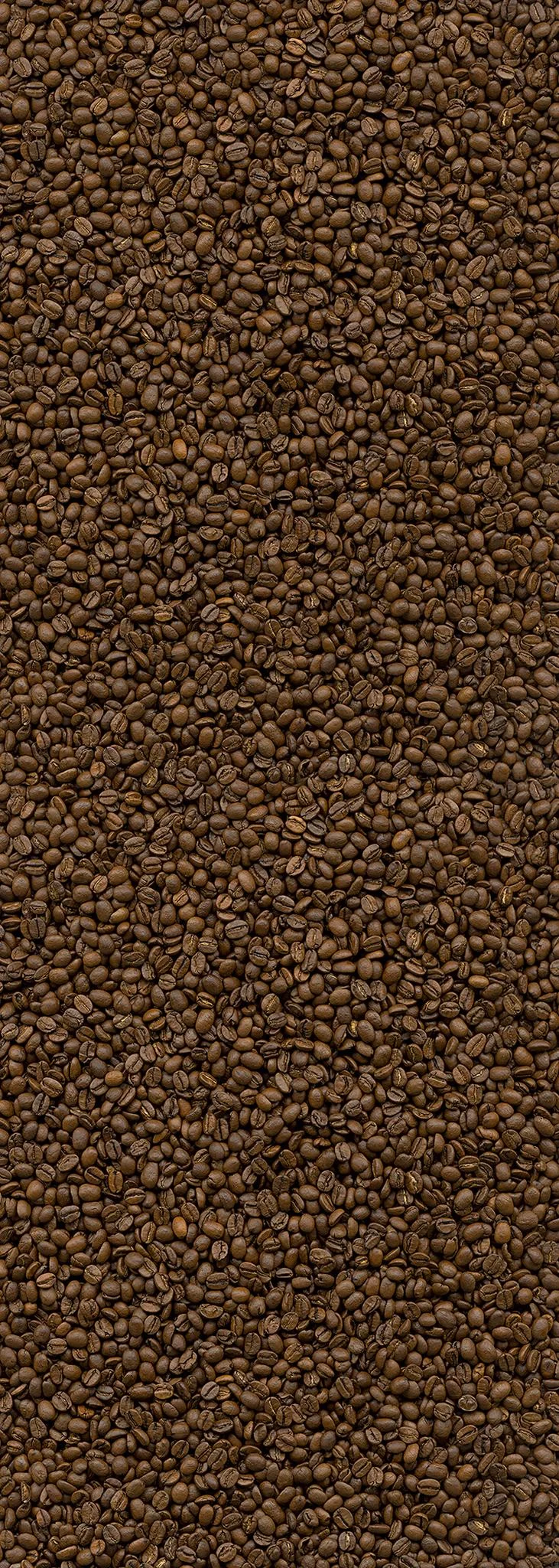 A.S. Création XXL 5 Fototapete, Kaffeebohnen, 1m x 2,8m DD116179