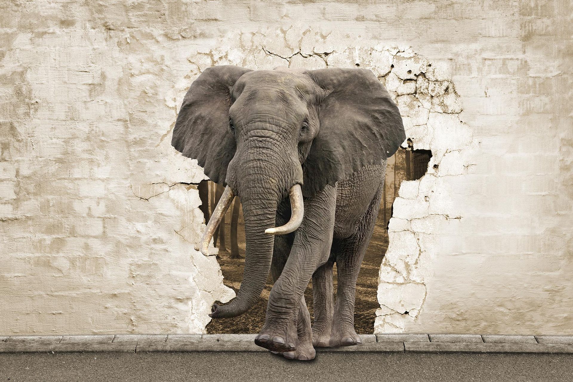 A.S. Création XXL 5 Fototapete, Elefant, 4m x 2,67m DD114954 Dekorbild