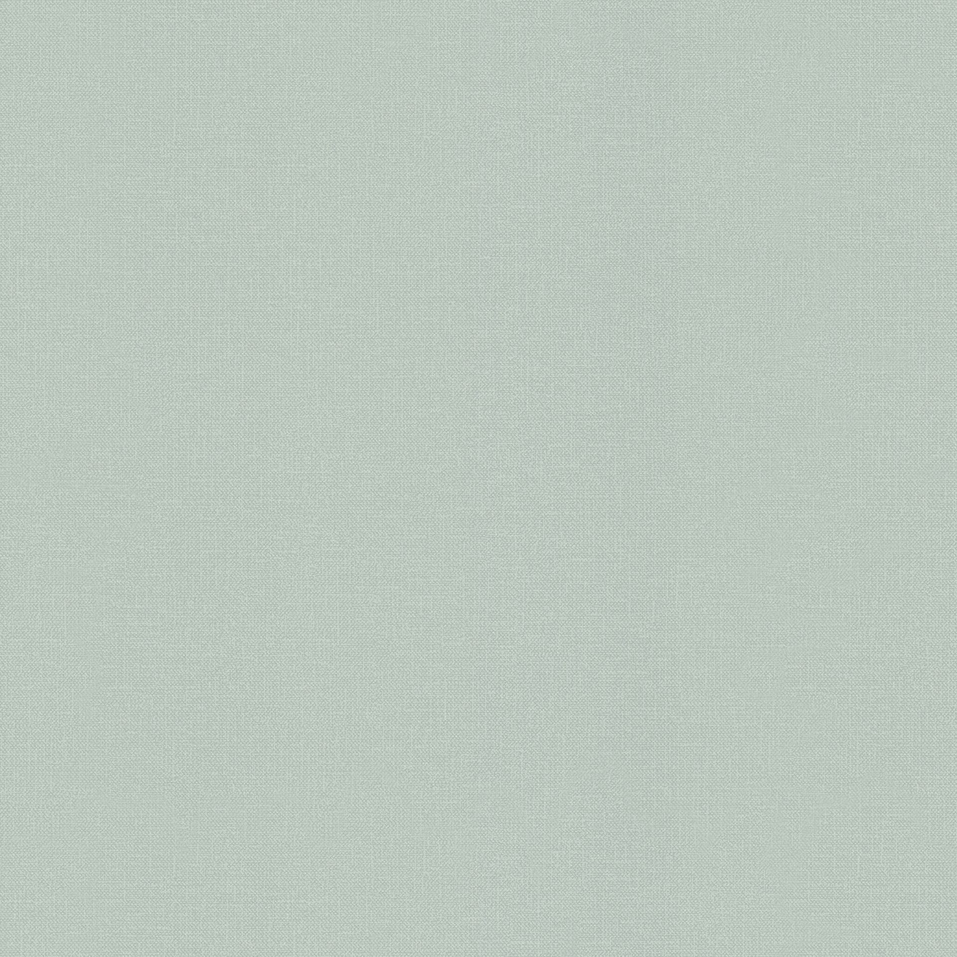 Rasch Textil Blush WWW 148740 Grün Uni Dekorbild