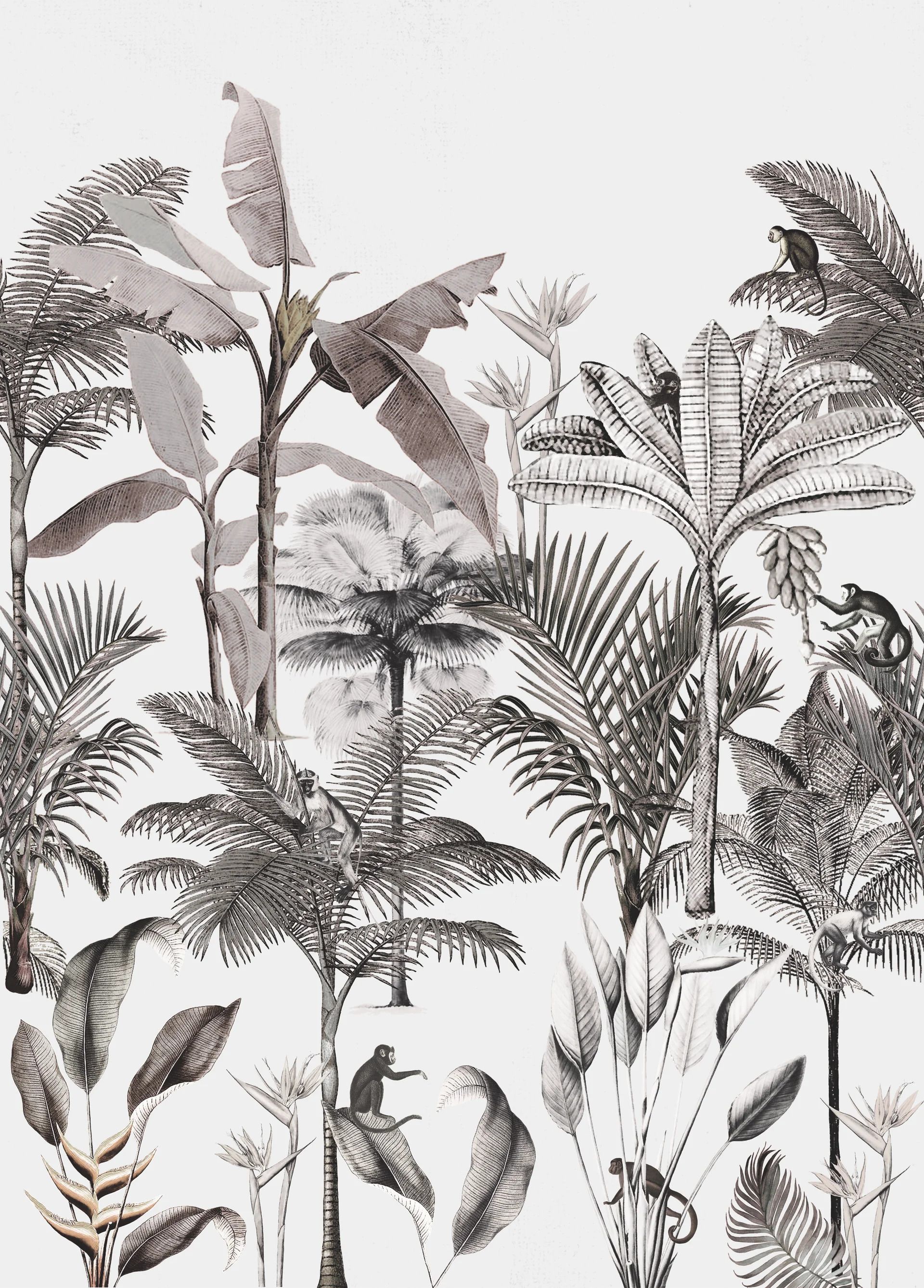 Rasch Selection, Exotic, schwarz 539189 Dekorbild