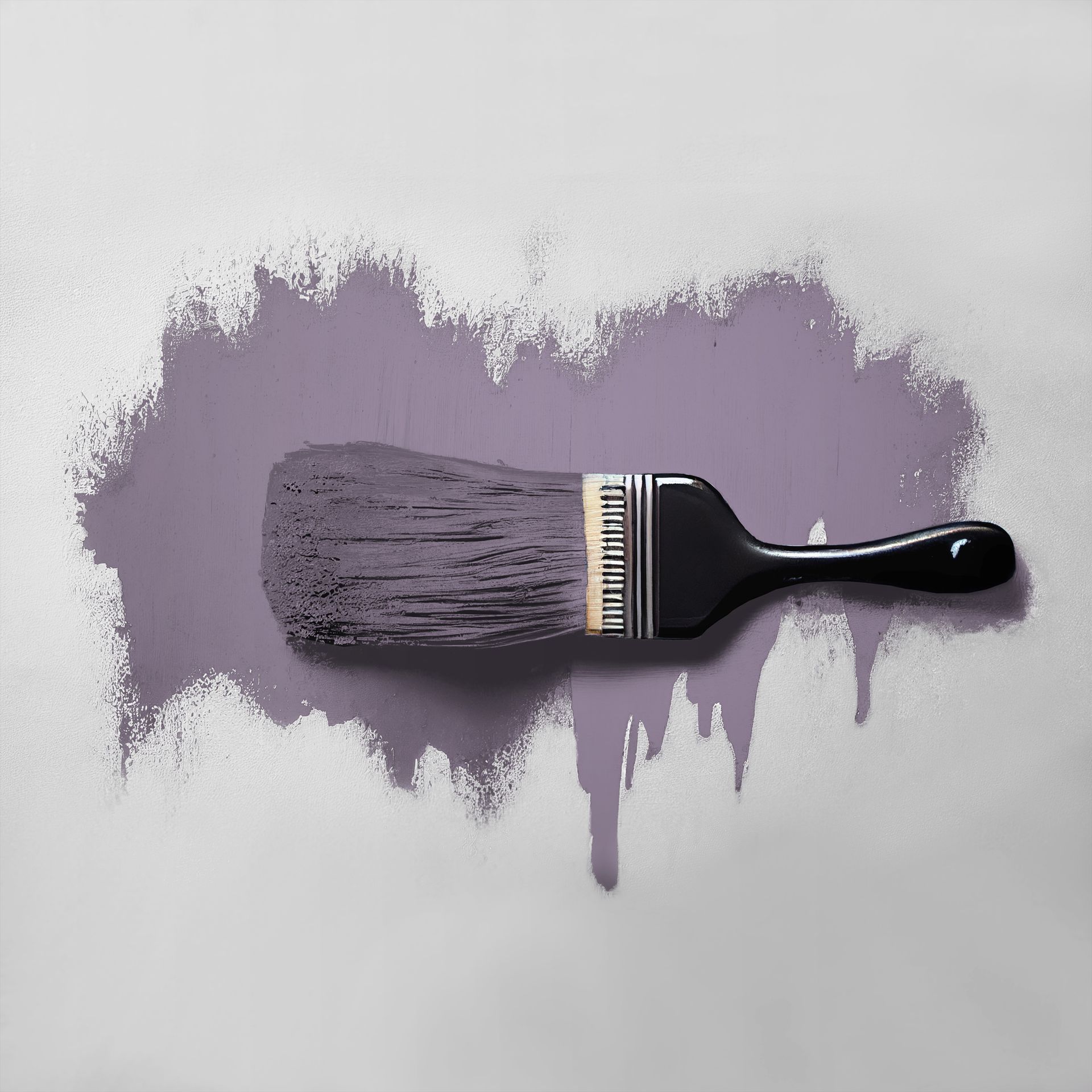 Wandfarbe The Color Kitchen TCK2006 Artful Aubergine