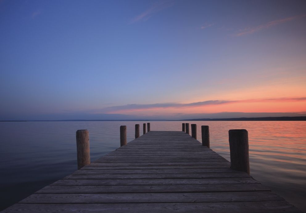 Rasch Selection Digital, Classic-Chic, orange blau 890907 Dekorbild