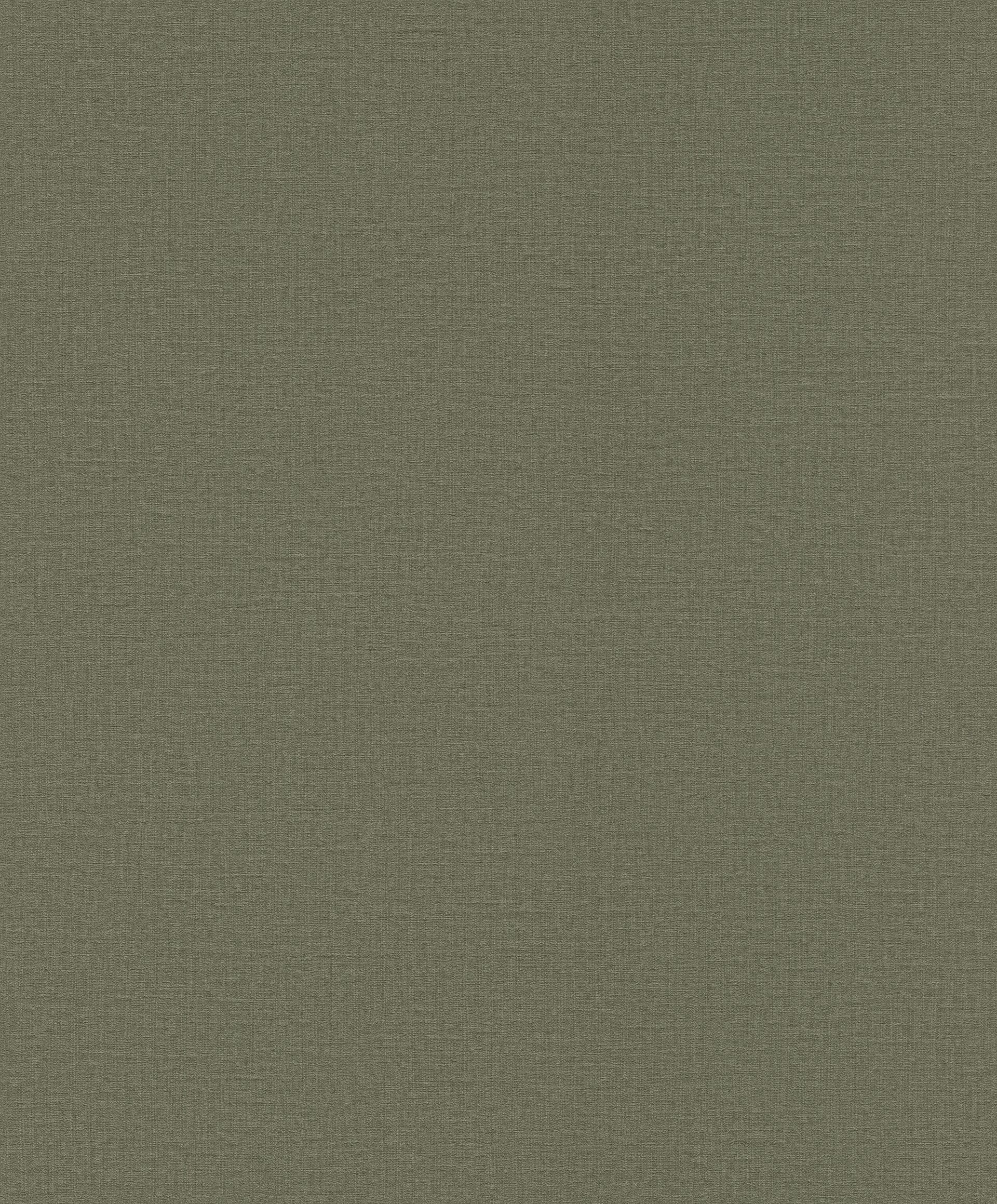 Vinyltapete Rasch Unis Grün-Khaki 555943 Dekorbild