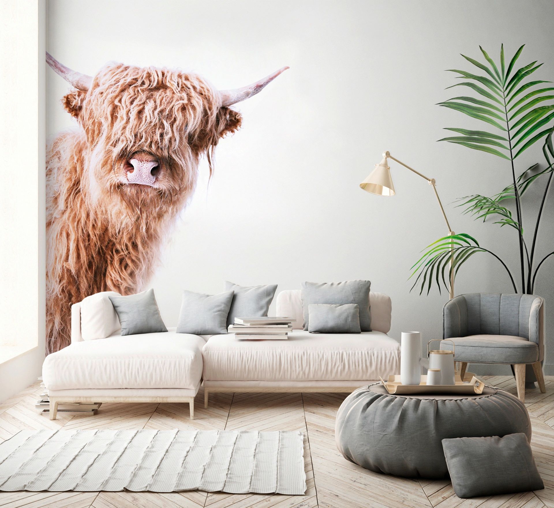 Fototapete, Wohnzimmer Hochlandrind Livingwalls 119825