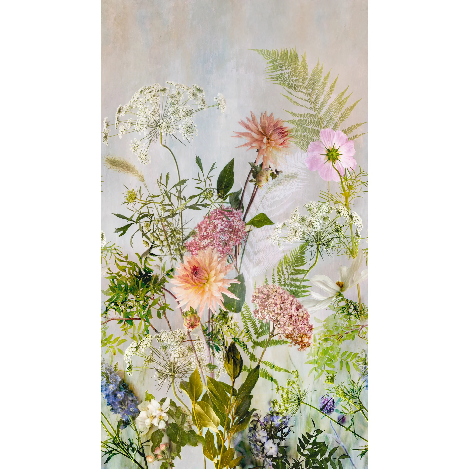 Mural - Young Edition - ML2001 Mural - Young Edition - ML2001