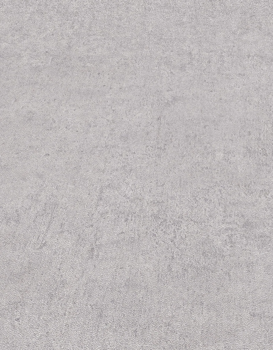 Unistapete Betonoptik hellgrau Erismann 1041837