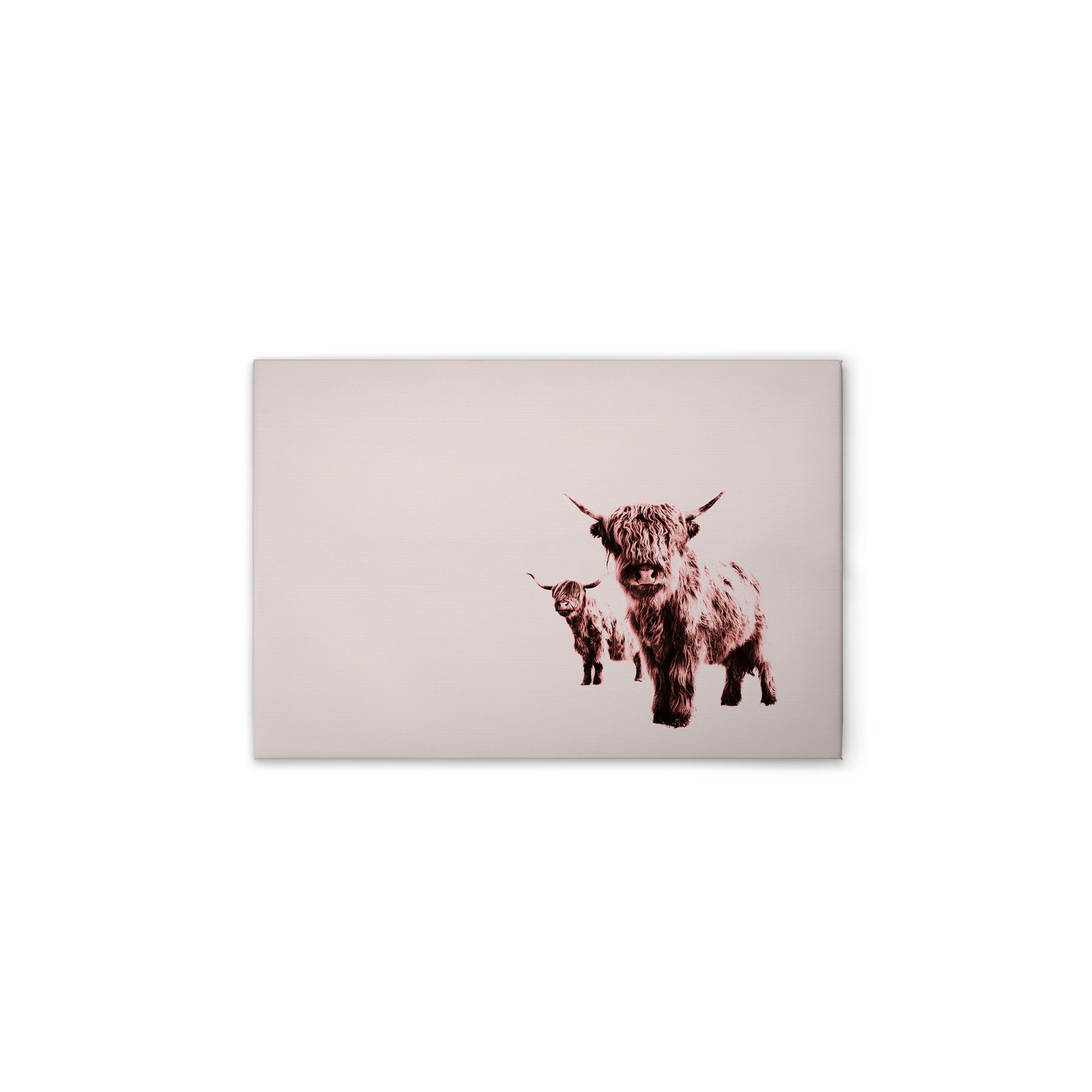 Leinwand Highland Cows 70 x 50 cm