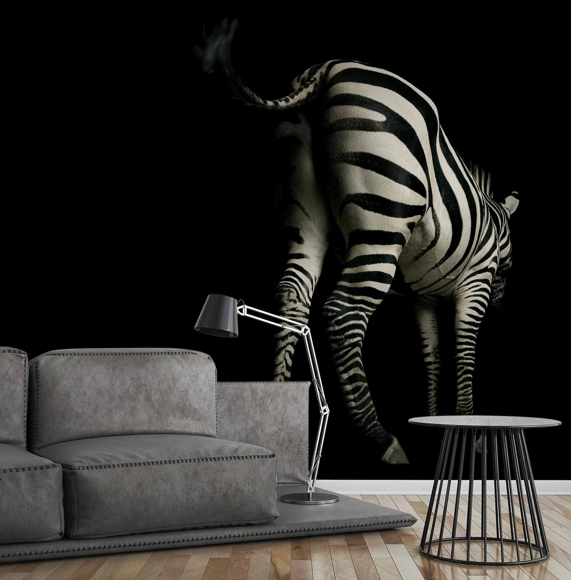 Fototapete Tier Zebra