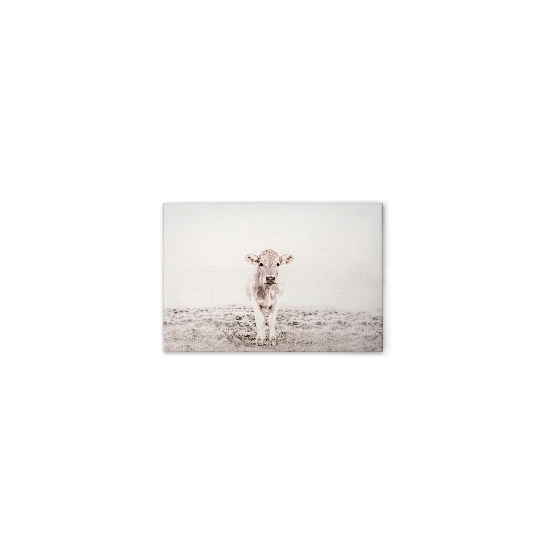 Leinwand Highland Cattle III 60 x 40 cm Leinwand Highland Cattle III 60 x 40 cm