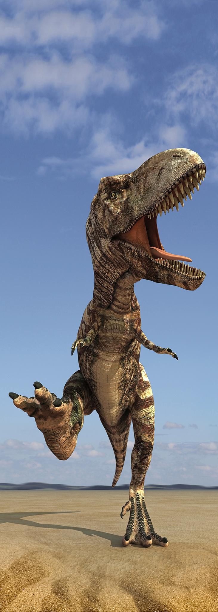 A.S. Création XXL 5 Fototapete, Dinosaurier, 1m x 2,8m DD115819 Dekorbild