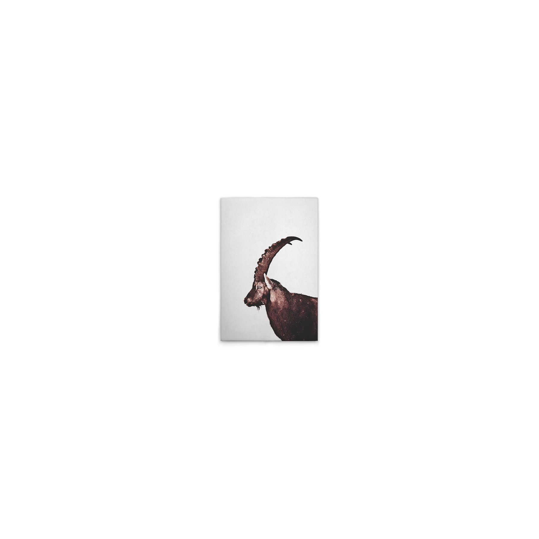 Leinwand Capricorn Snow 30 x 45 cm