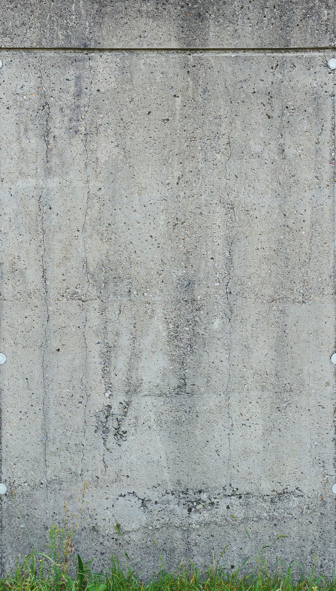 Livingwalls The Wall II, Betonwand, grau, grün 392551