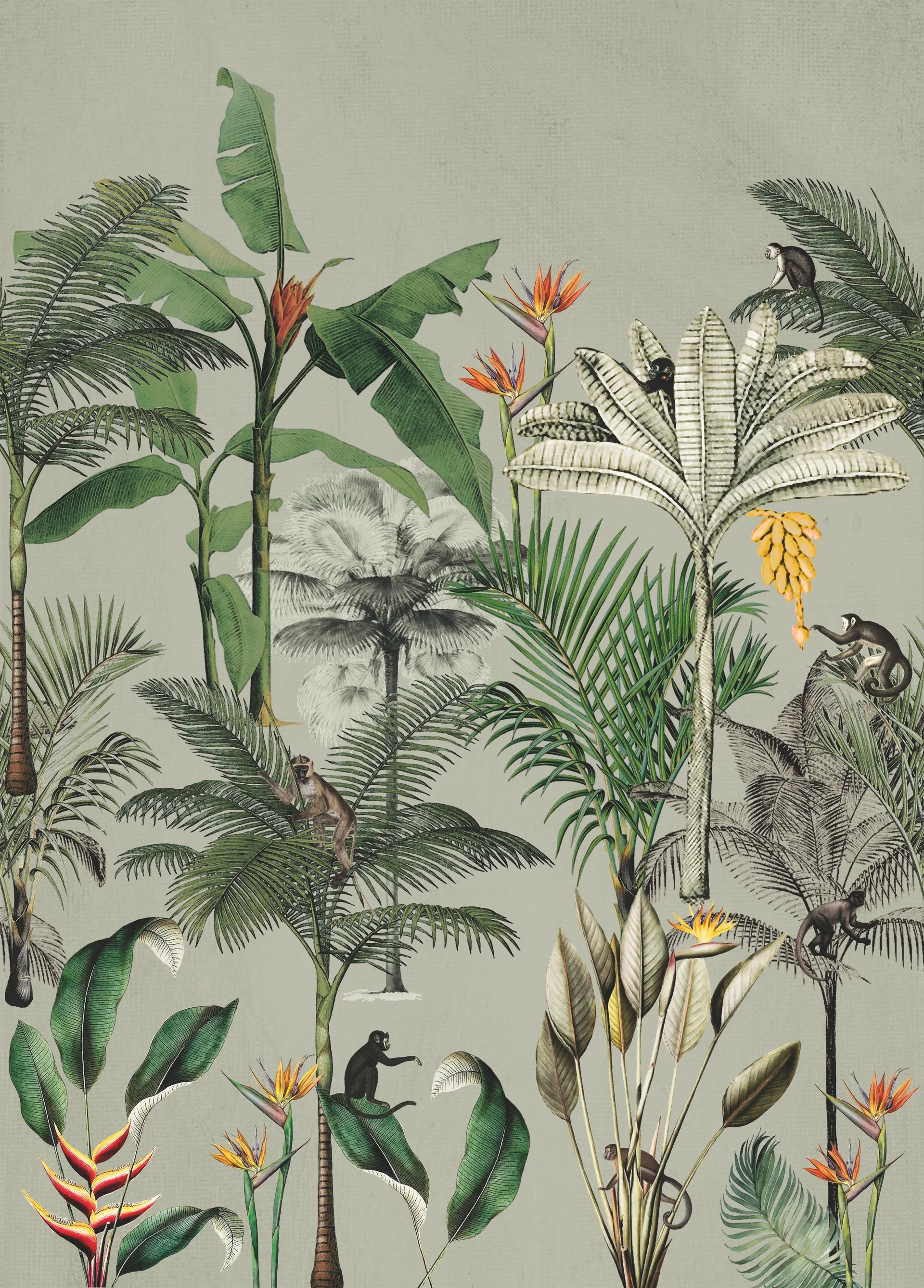 Rasch Selection, Exotic, grün 539196 Dekorbild