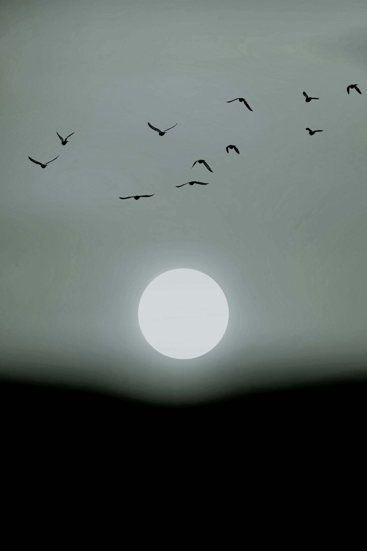 Leinwand Winter Lights 60 x 90 cm