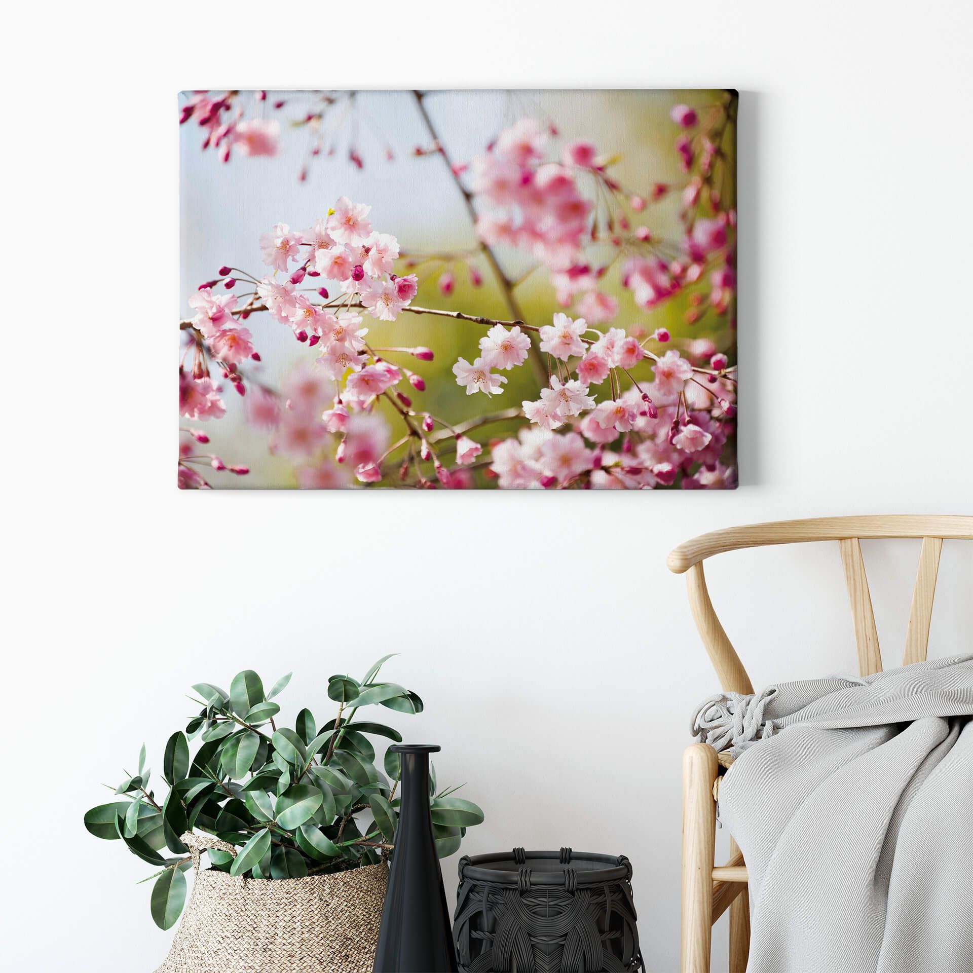 Leinwandbild Kirschblüten, rosa, 70x50 cm DD123038