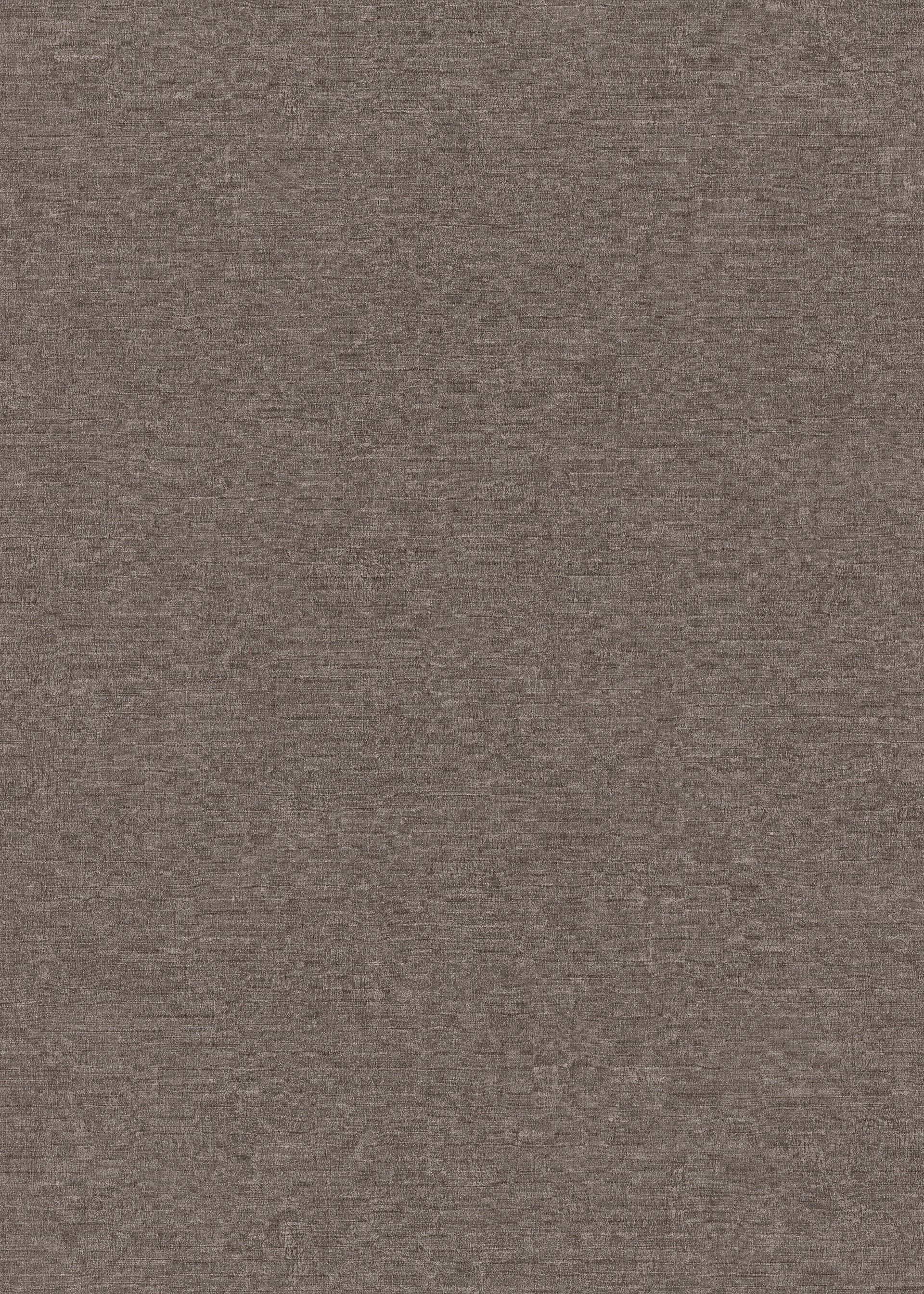Unistapete Putzoptik taupe Erismann 1043011 Unistapete Putzoptik taupe Erismann 1043011