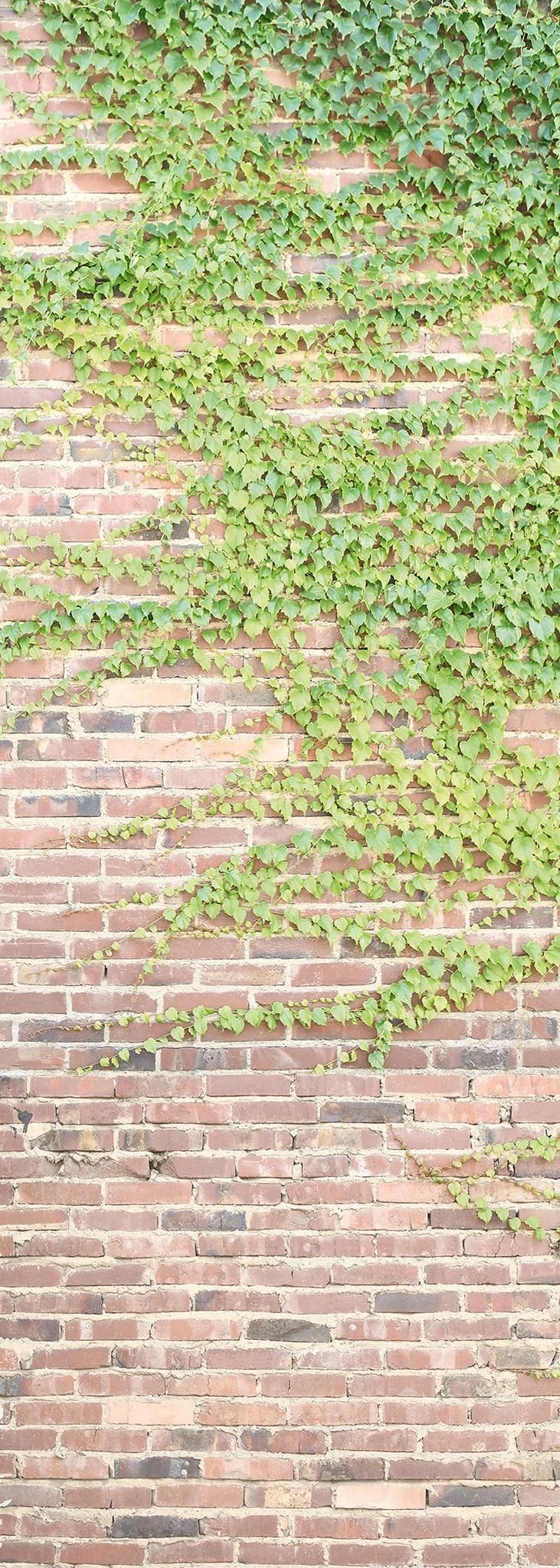 A.S. Création XXL 5 Fototapete, Mauerwerk, 1m x 2,8m DD116119 Dekorbild