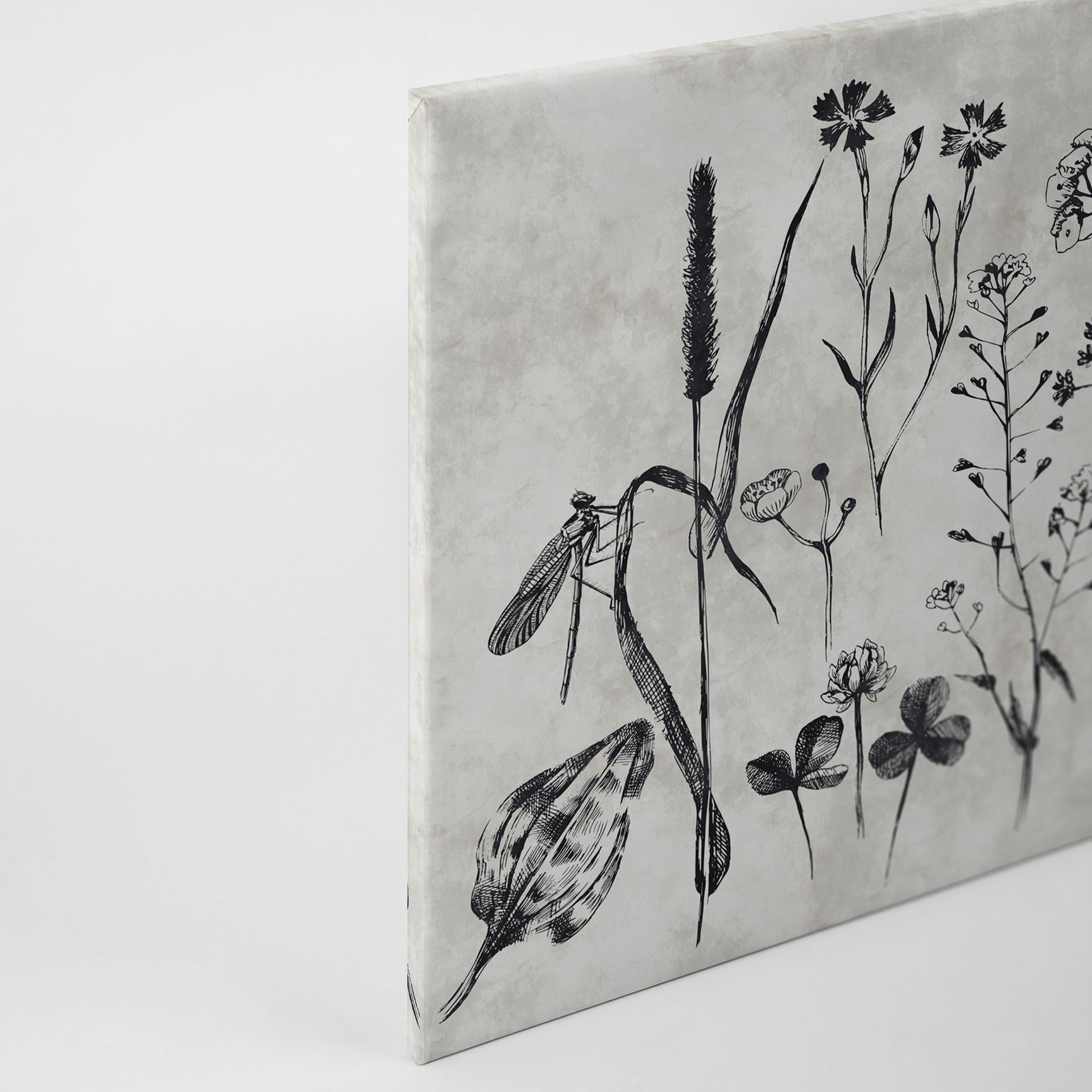 Leinwandbild Floralillustrationen, grau, 90x60 cm DD120363