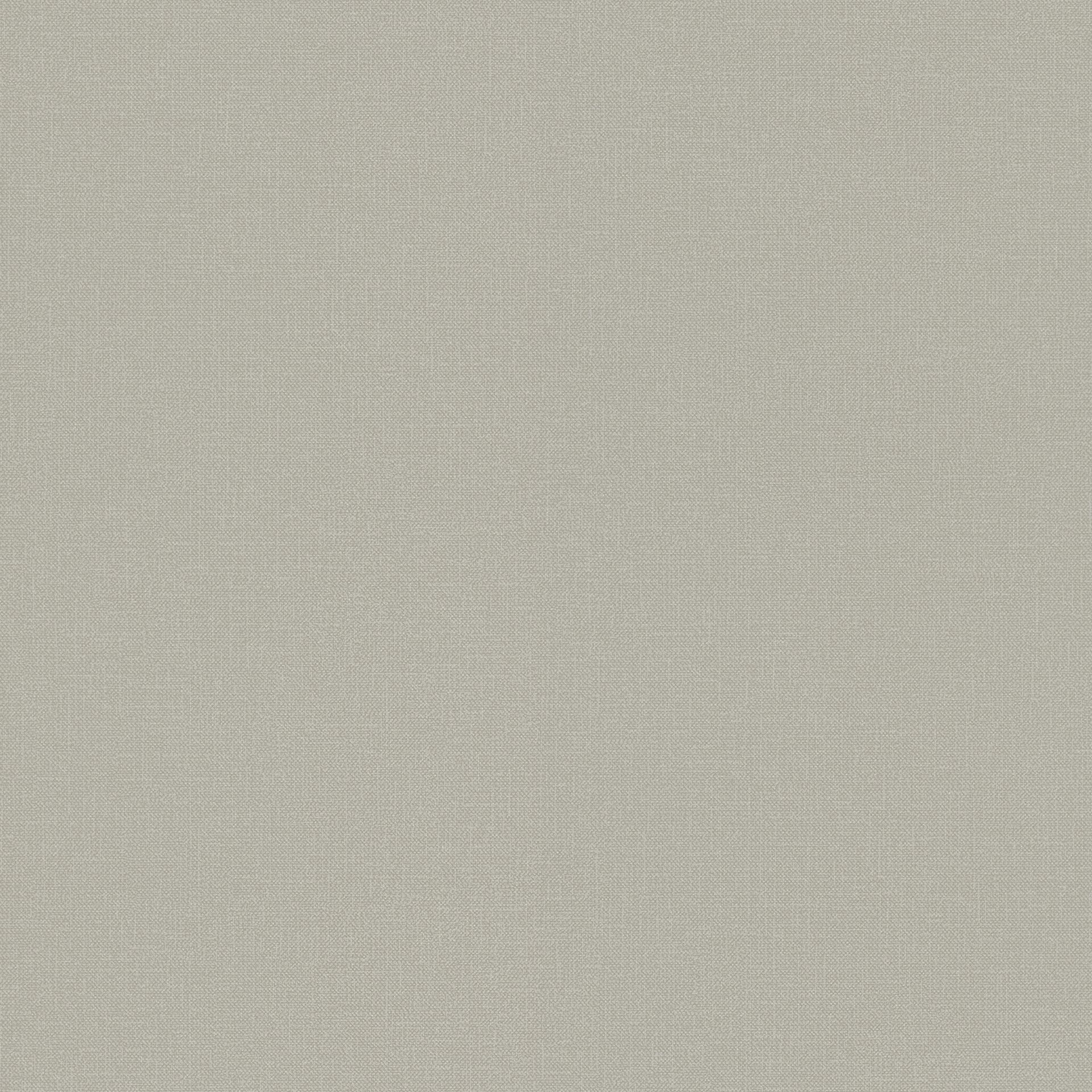 Rasch Textil Blush WWW 148742 Beige Uni Dekorbild